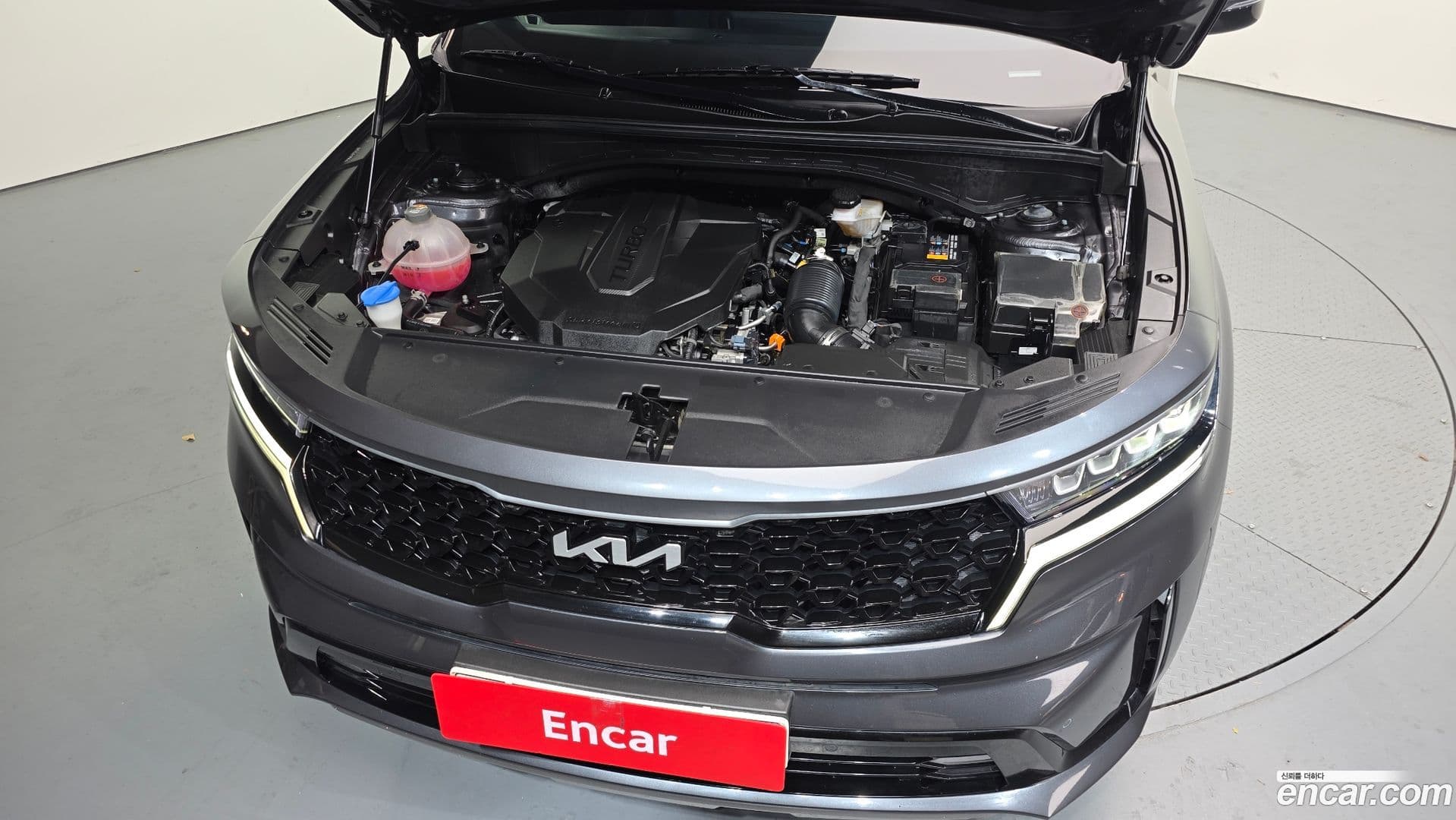 Main__Slider__Photo:Sorento Kia 2022.6-5