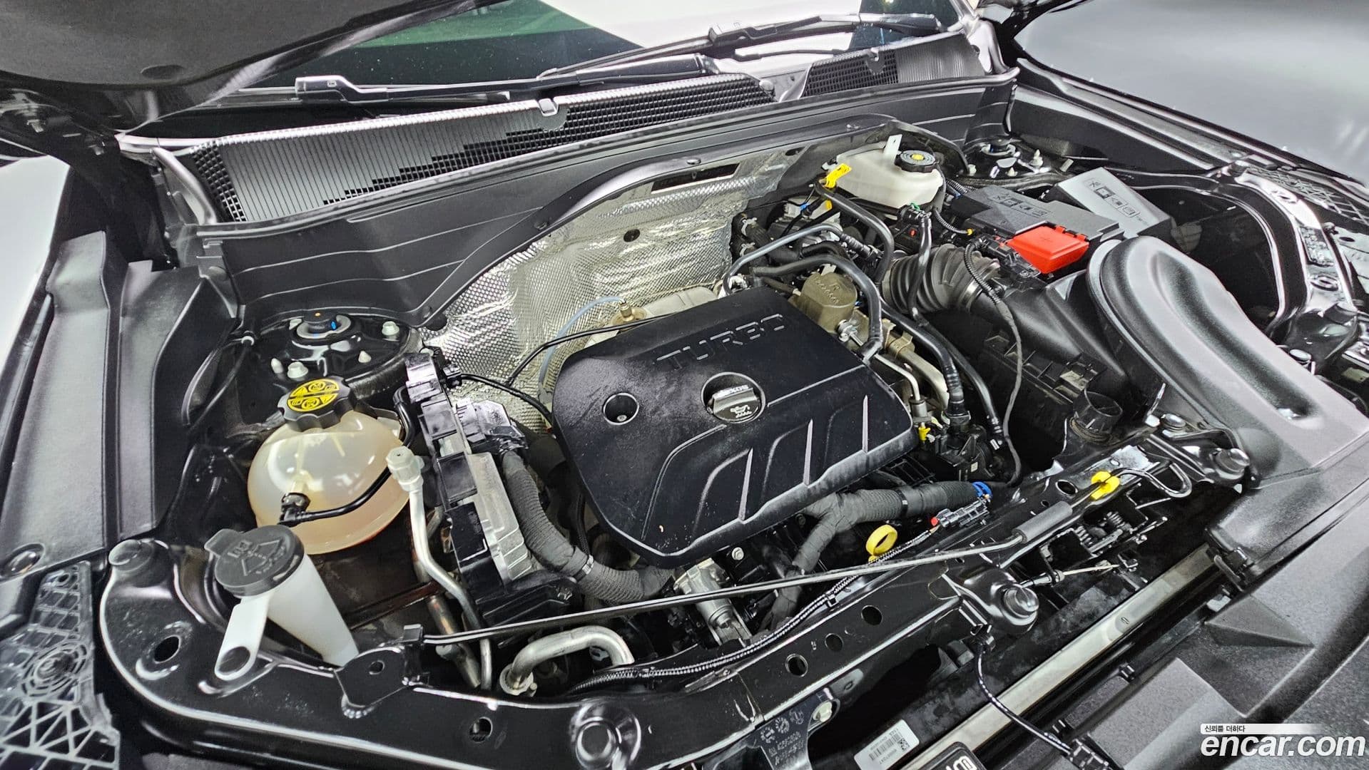 Main__Slider__Photo:Trailblazer Chevrolet 2022.9-5