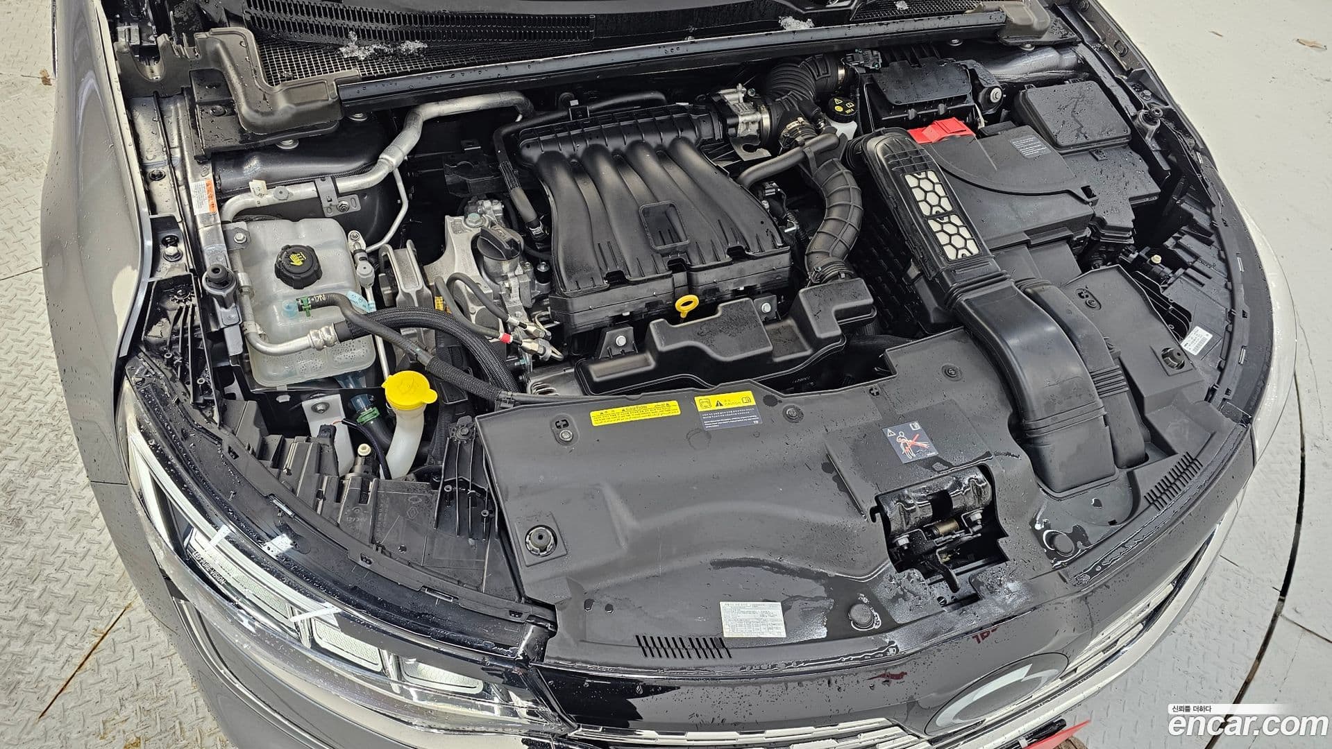 Main__Slider__Photo:SM6 Renault Korea 2023.8-5