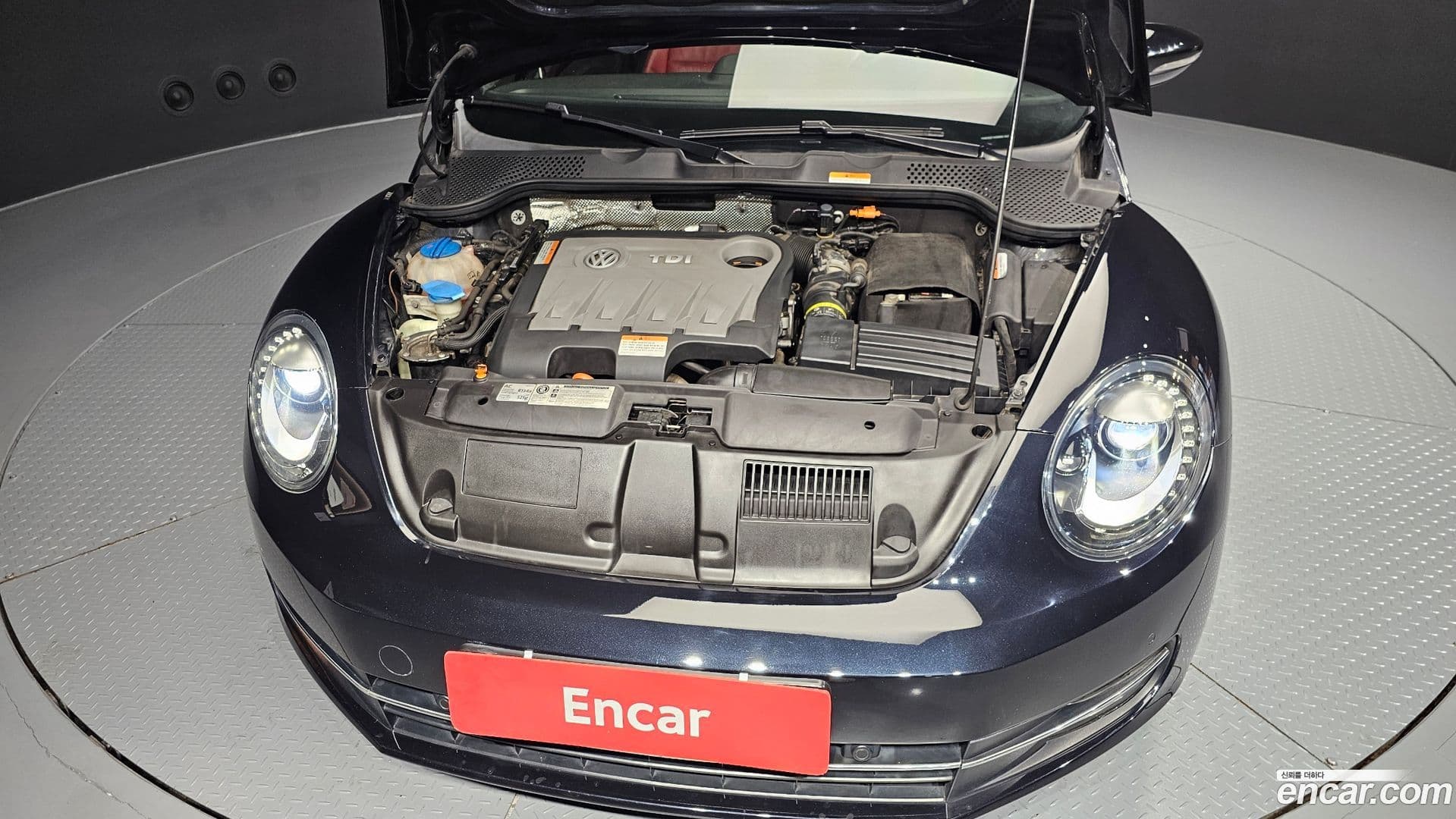 Main__Slider__Photo:Beatle Volkswagen 2012.9-5