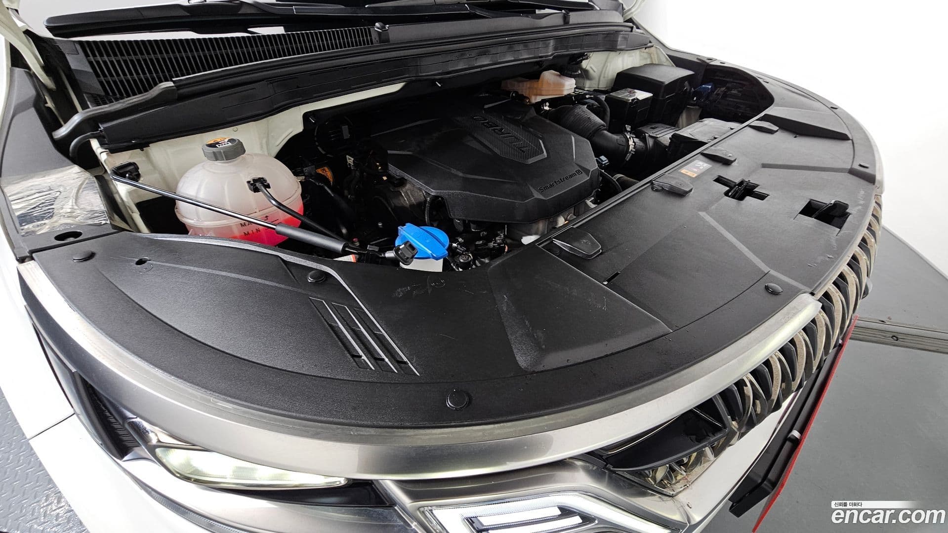 Main__Slider__Photo:Canival Kia 2021.8-5