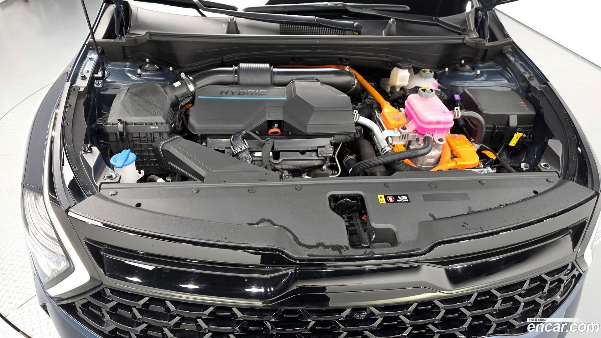 Main__Slider__Photo:Sportage Kia 2023.11-5