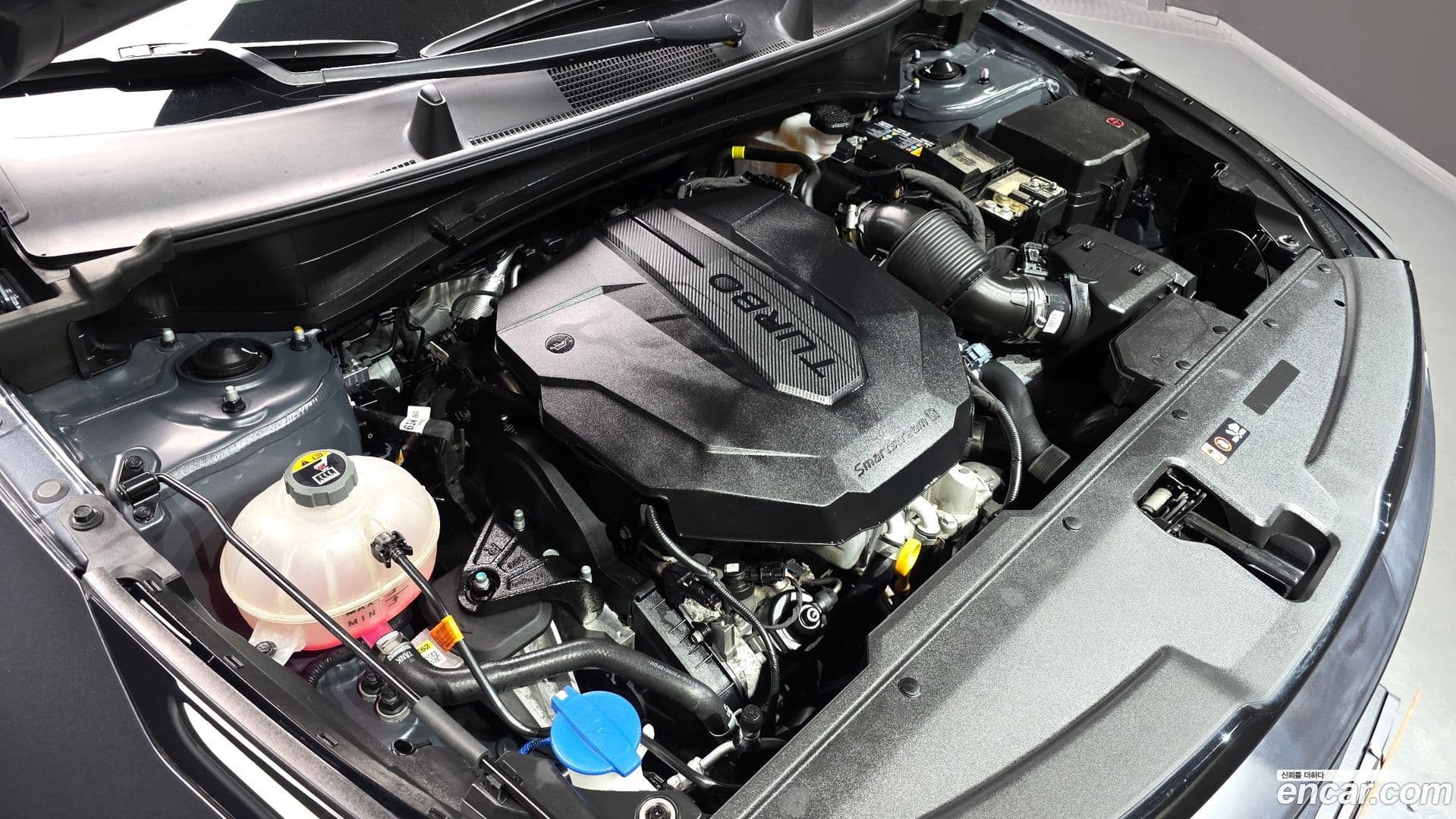 Main__Slider__Photo:Sportage Kia 2022.0-5