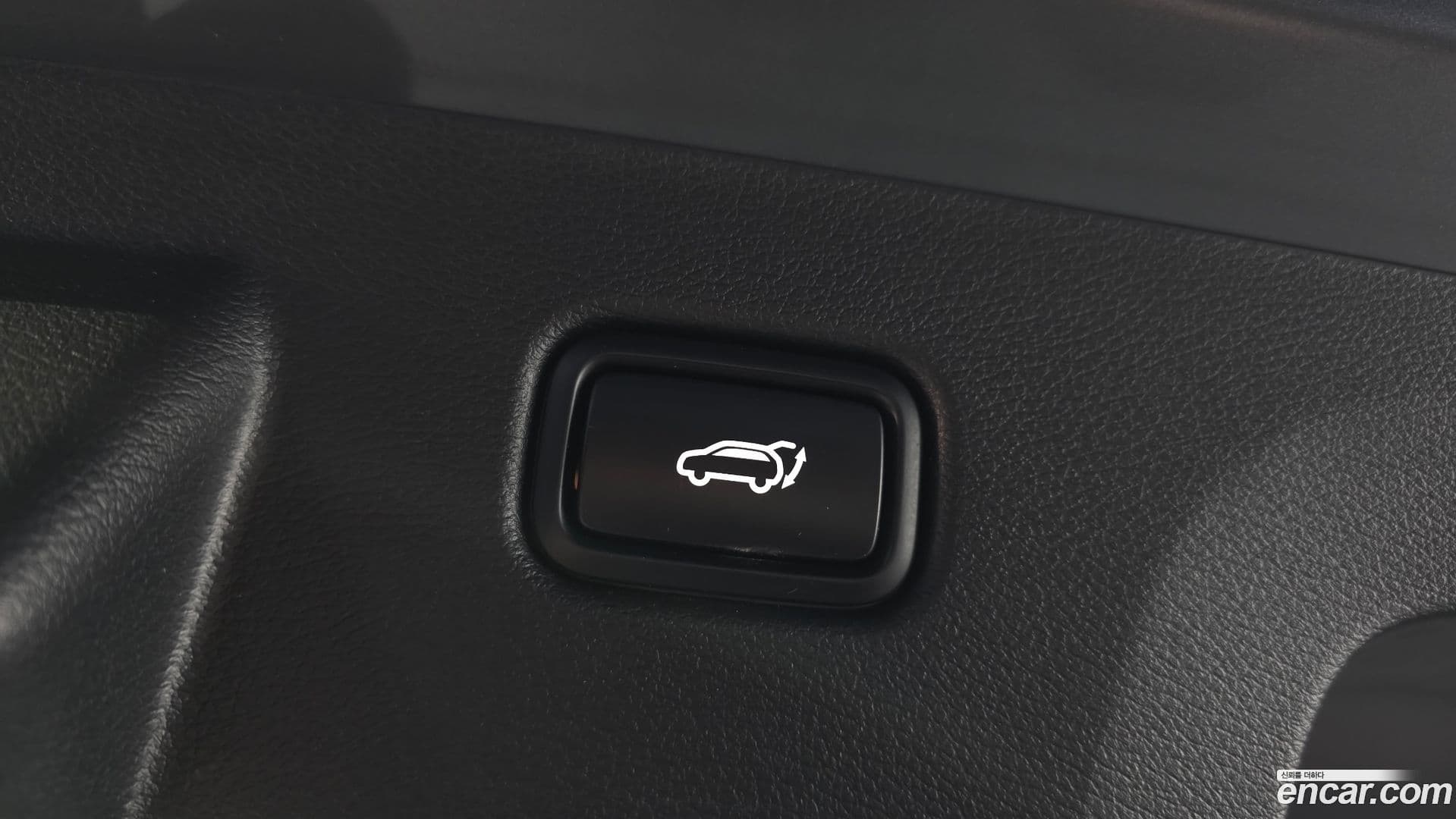 Main__Slider__Photo:Sportage Kia 2022.0-19