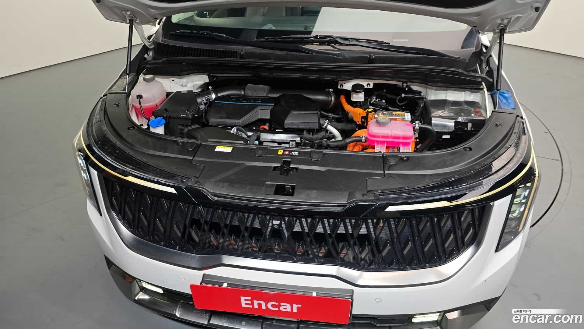 Canival Kia 2024.2-INNER-006