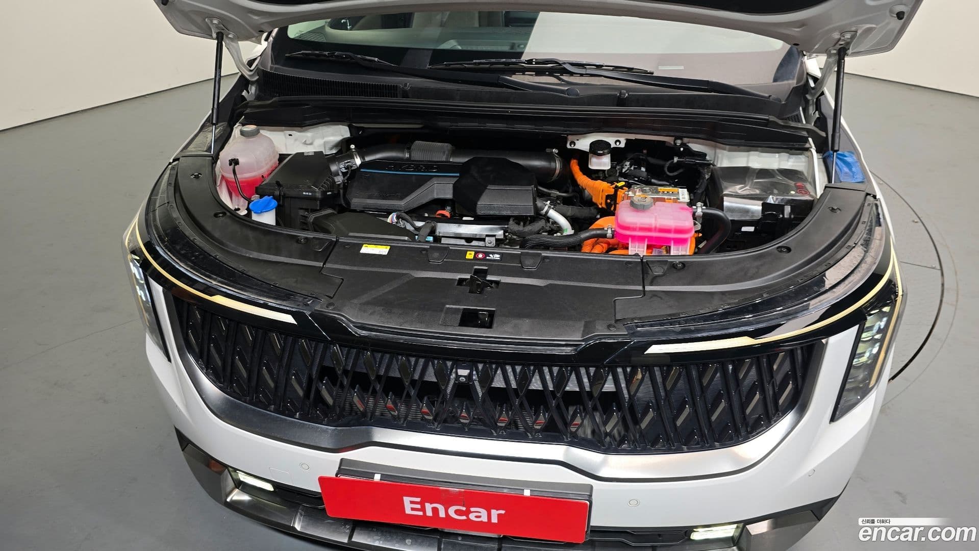 Main__Slider__Photo:Canival Kia 2024.2-5