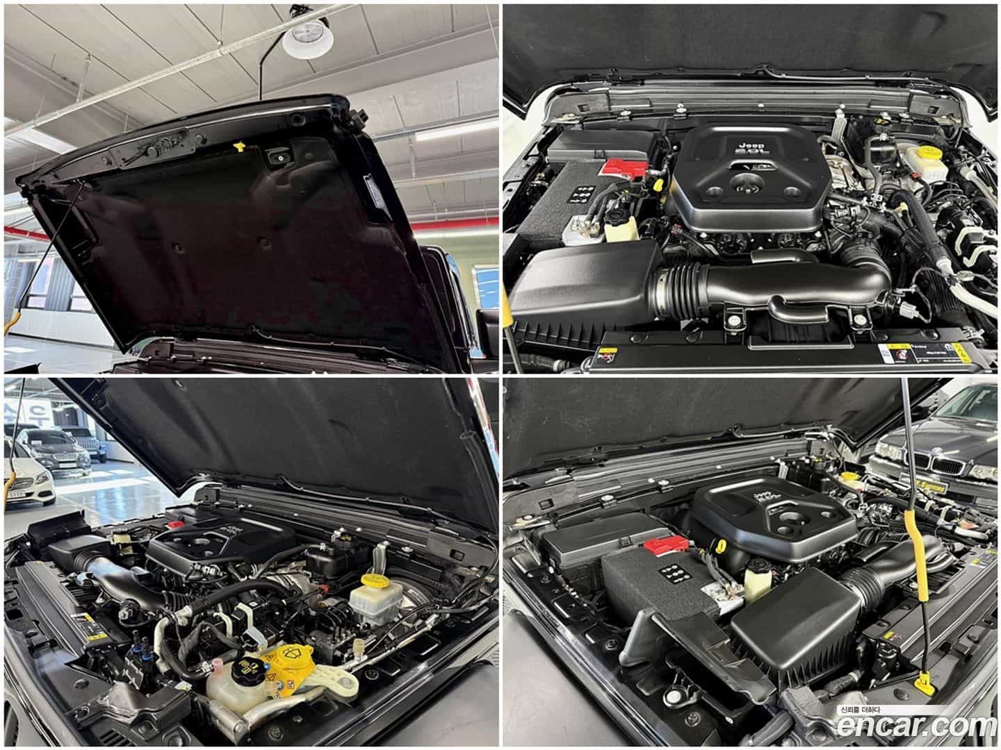 Wrangler Jeep 2021.2-OPTION-022