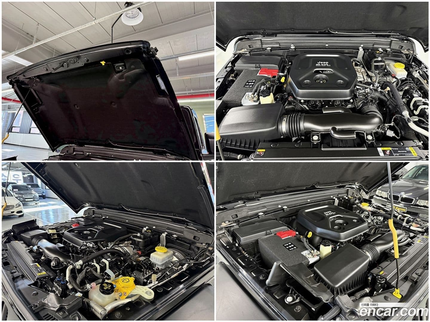 Main__Slider__Photo:Wrangler Jeep 2021.2-17