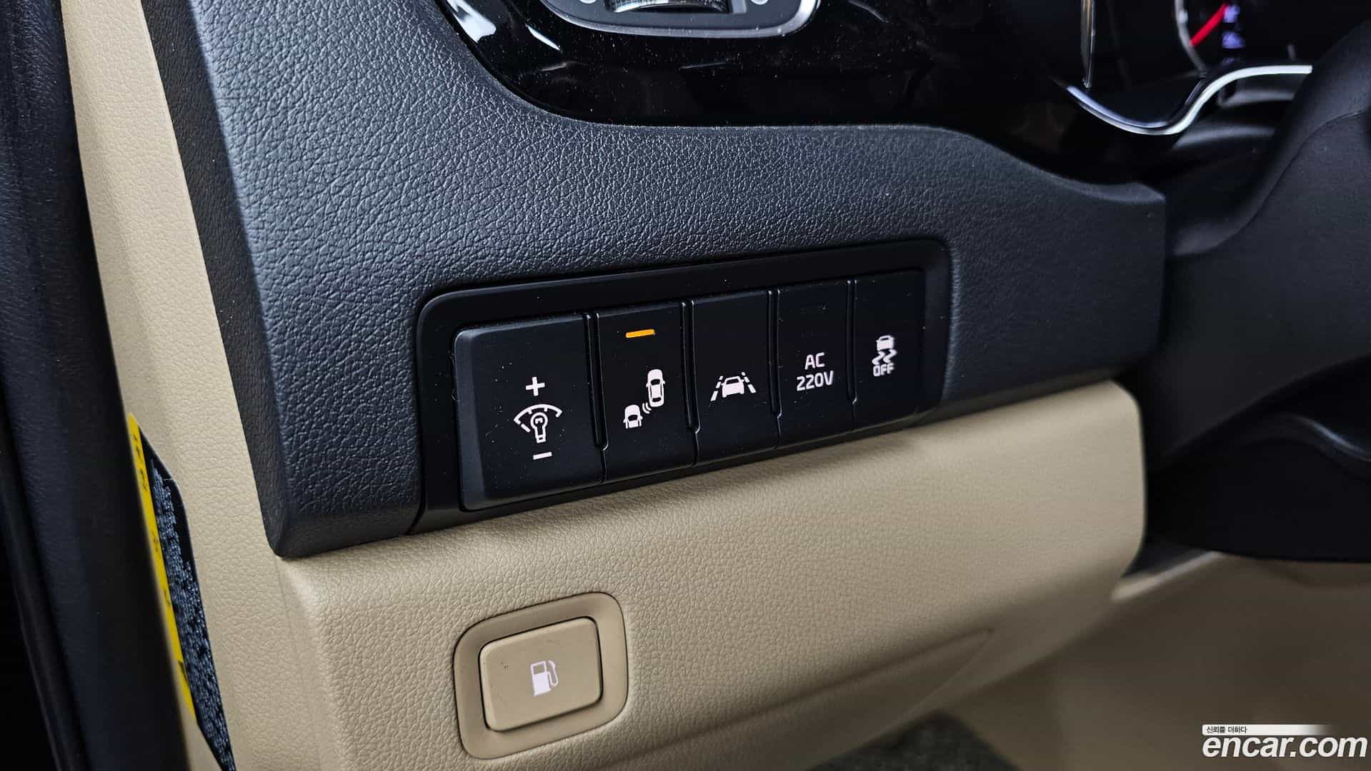 Canival Kia 2019.4-OPTION-020