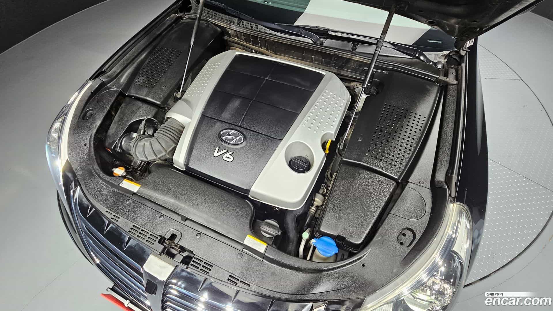 Equus Hyundai 2010.1-INNER-006