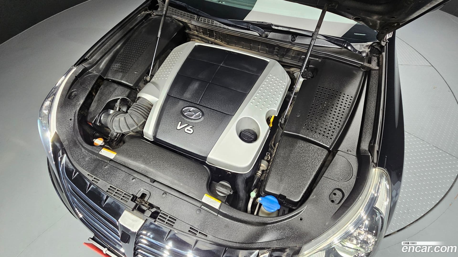 Main__Slider__Photo:Equus Hyundai 2010.1-5