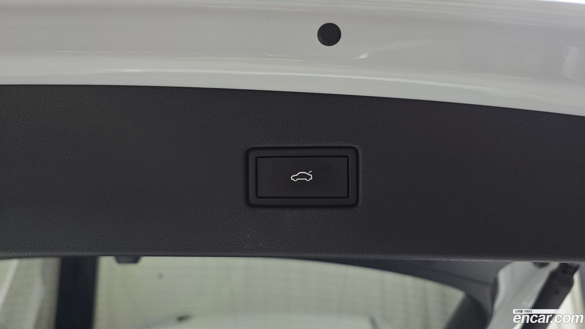 Main__Slider__Photo:Tiguan Volkswagen 2022.2-19