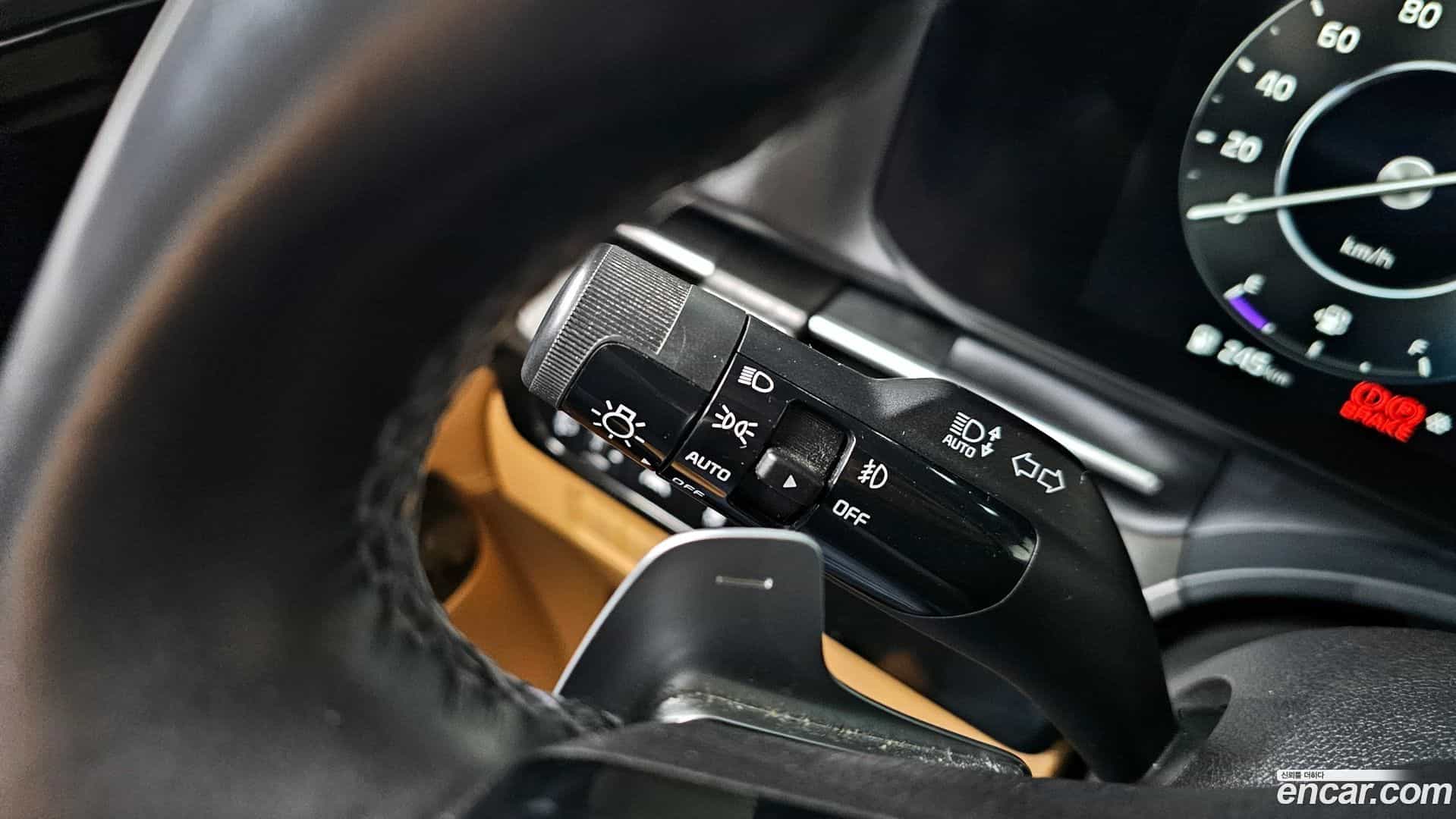 Canival Kia 2020.11-OPTION-022