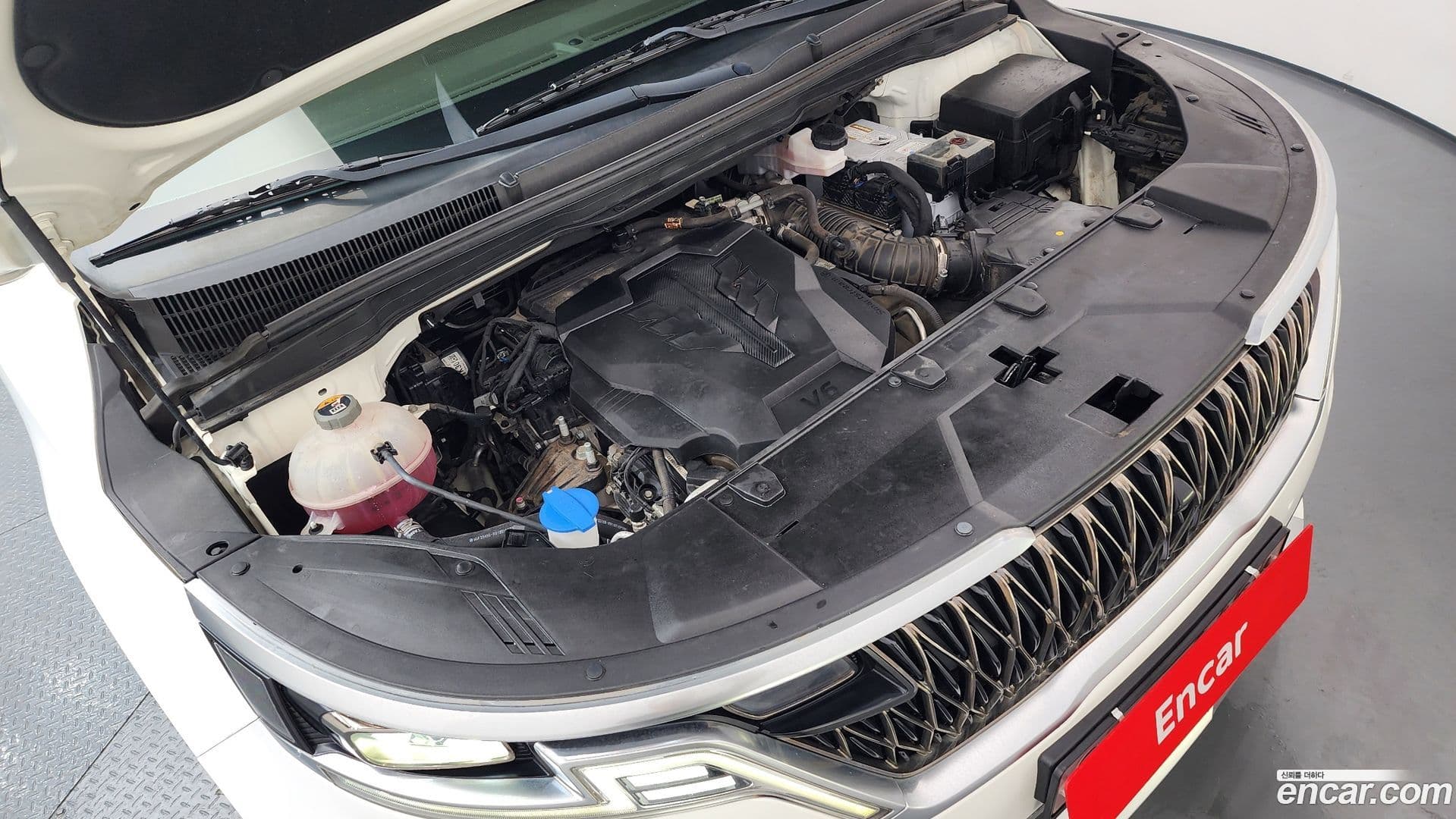 Main__Slider__Photo:Canival Kia 2021.2-5