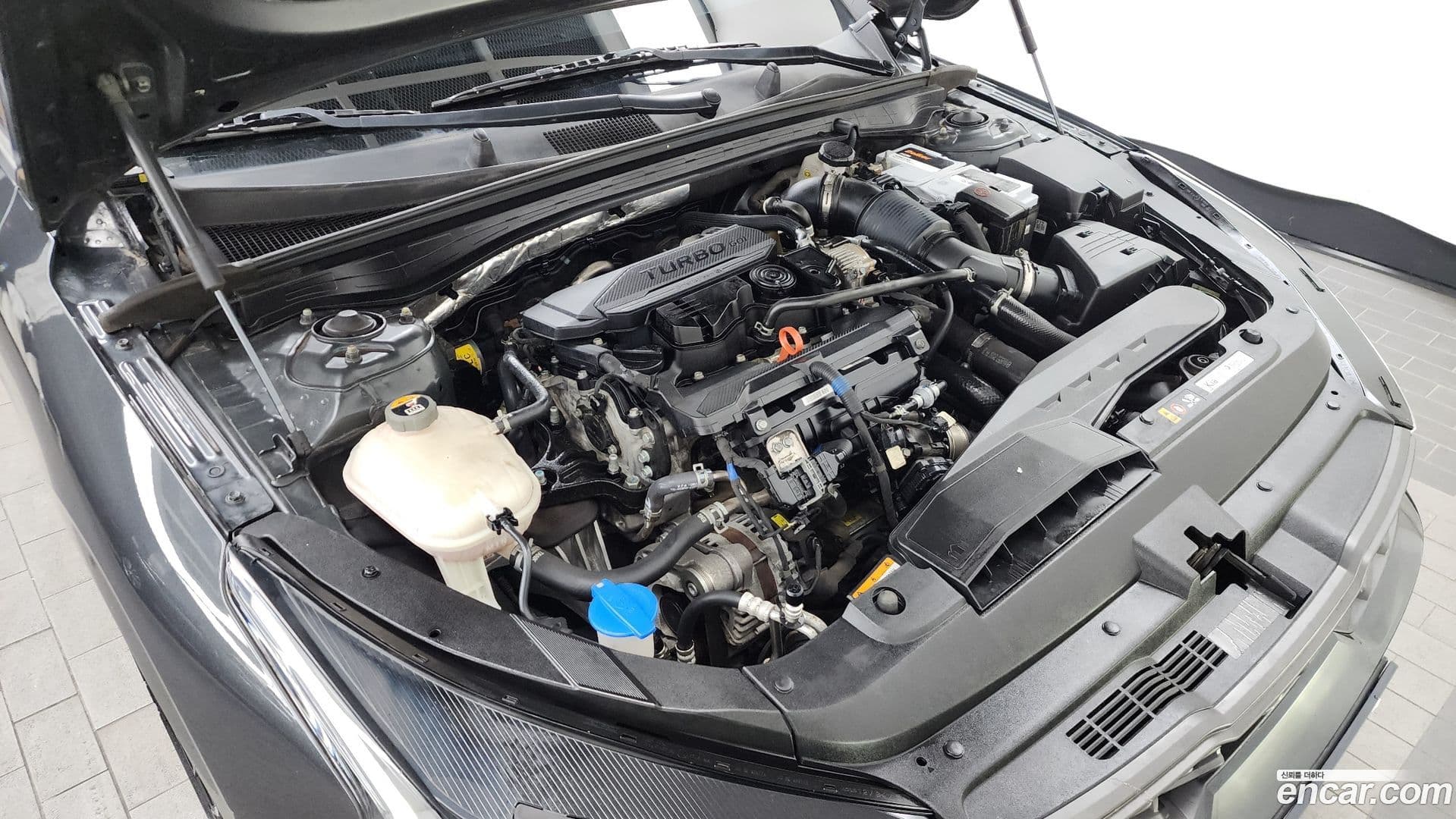 Main__Slider__Photo:K5 Kia 2020.10-5