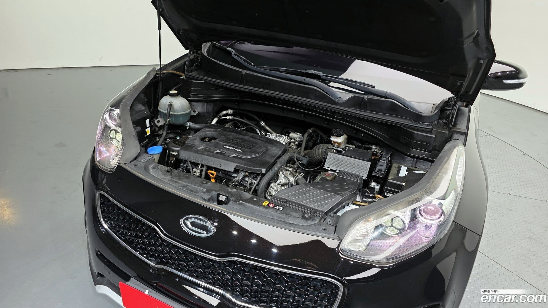 Main__Slider__Photo:Sportage Kia 2016.1-5