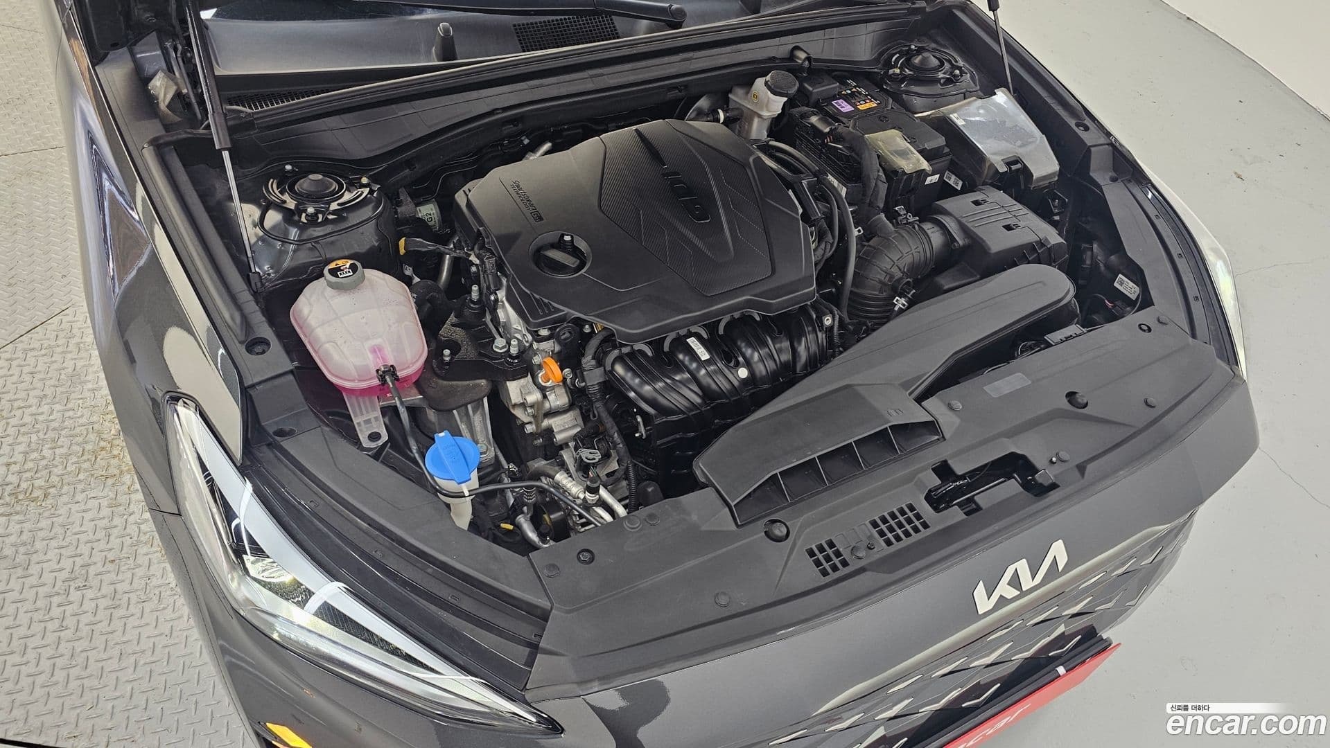 Main__Slider__Photo:K8 Kia 2021.9-5