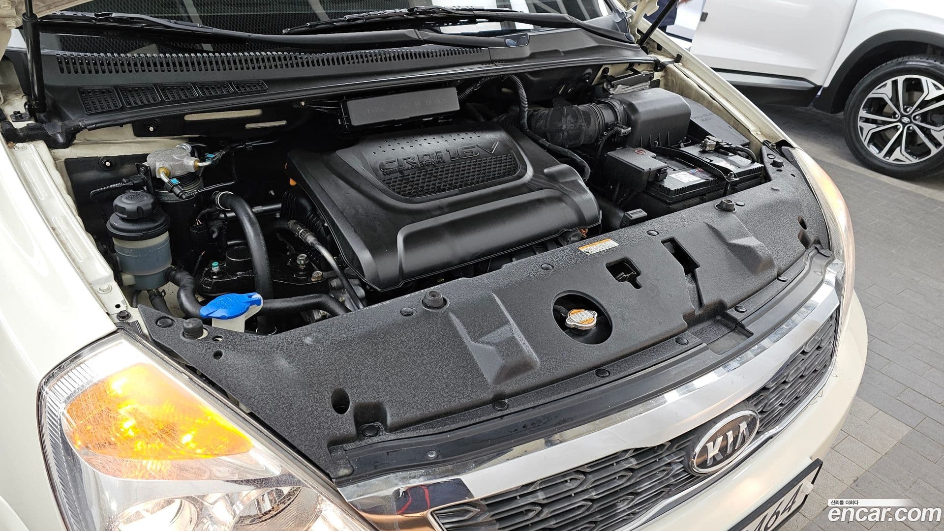 Main__Slider__Photo:Canival Kia 2011.6-5