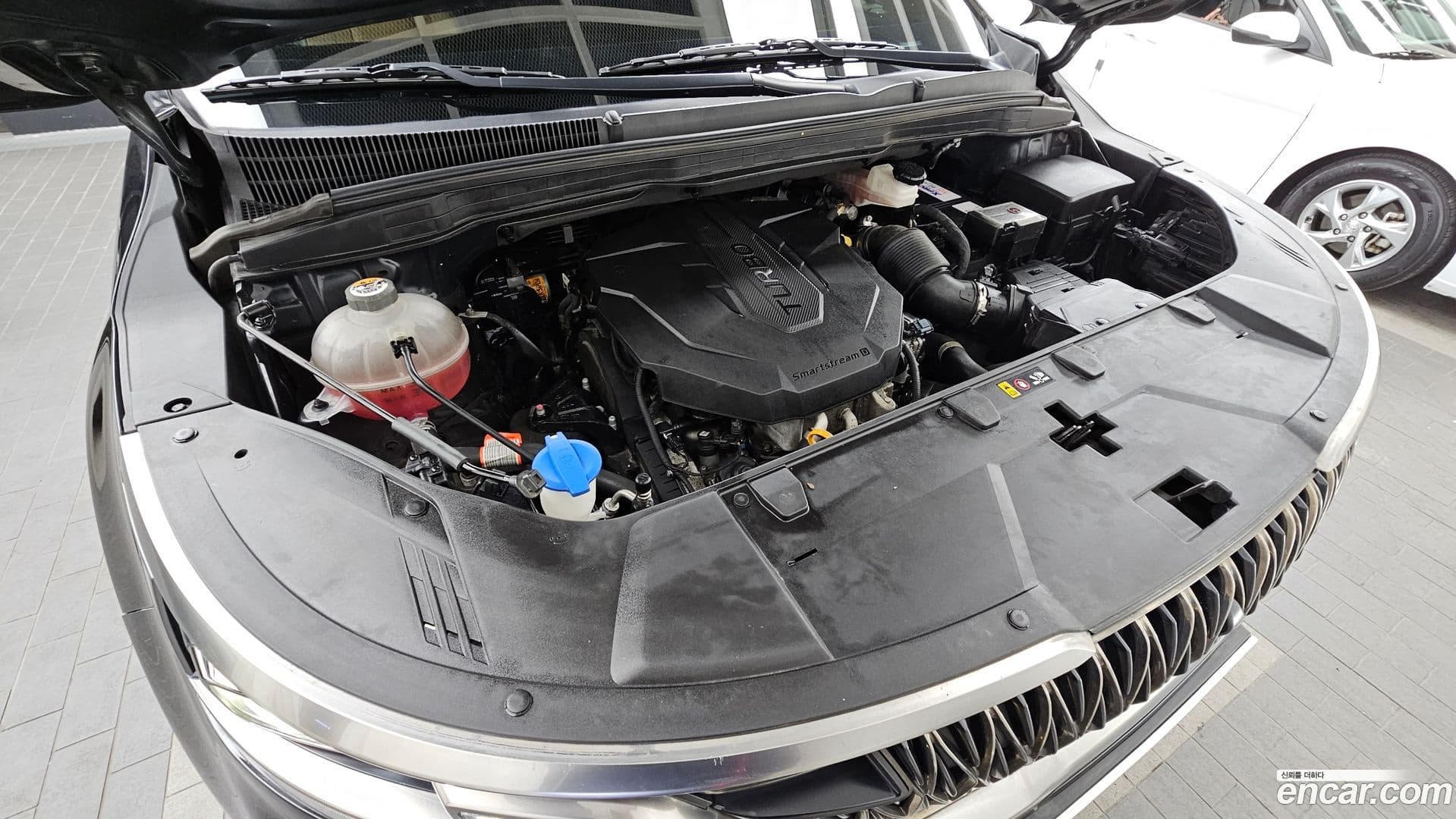 Main__Slider__Photo:Canival Kia 2021.11-5