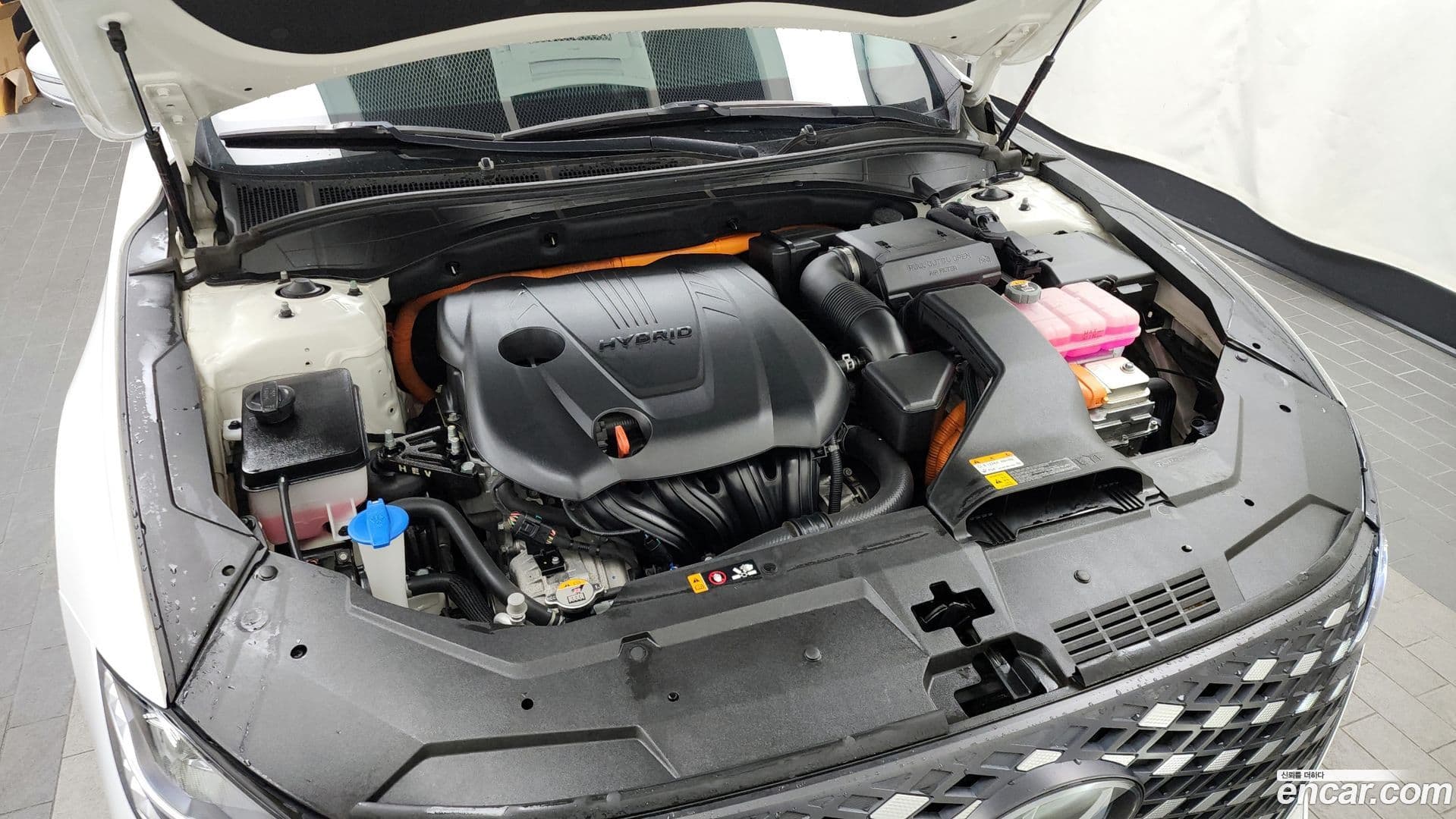 Main__Slider__Photo:Grandeur Hyundai 2022.3-5