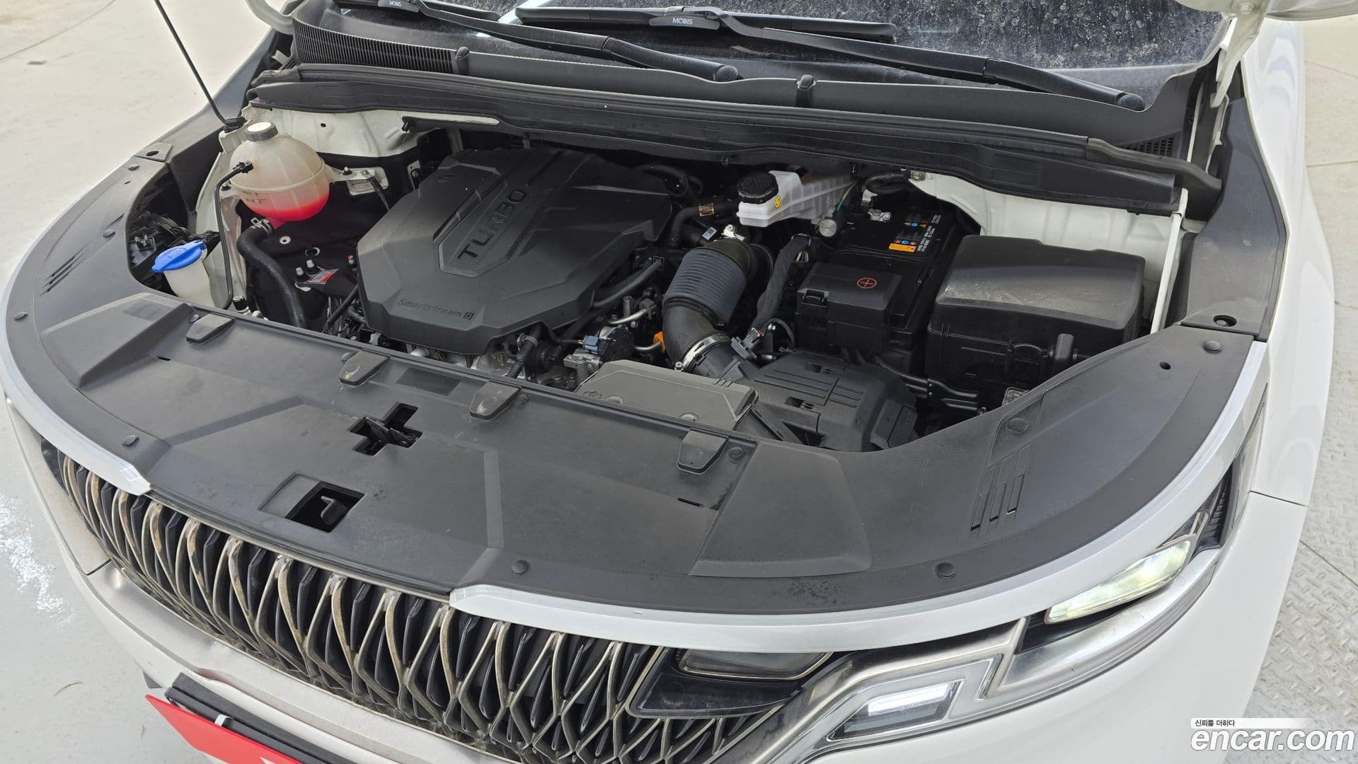 Main__Slider__Photo:Canival Kia 2022.11-5