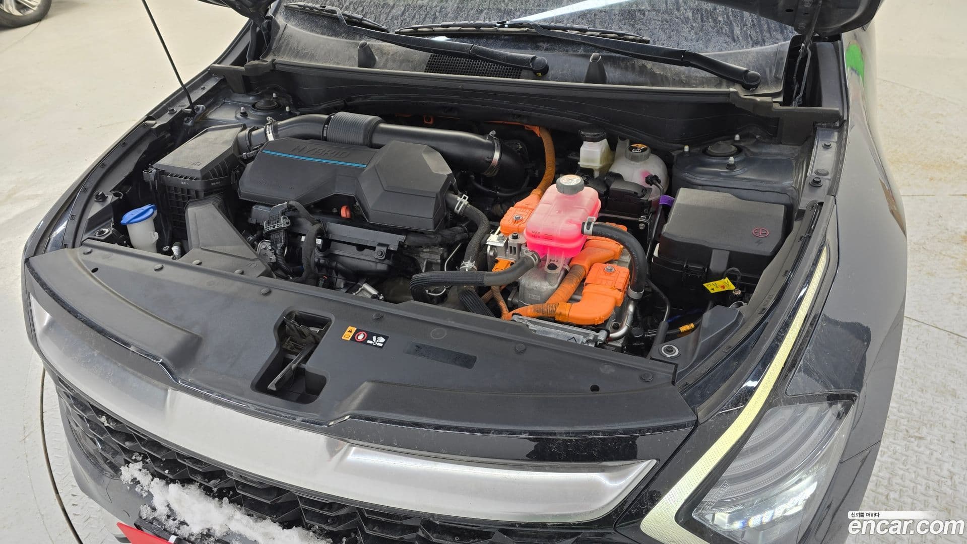 Main__Slider__Photo:Sportage Kia 2022.2-5