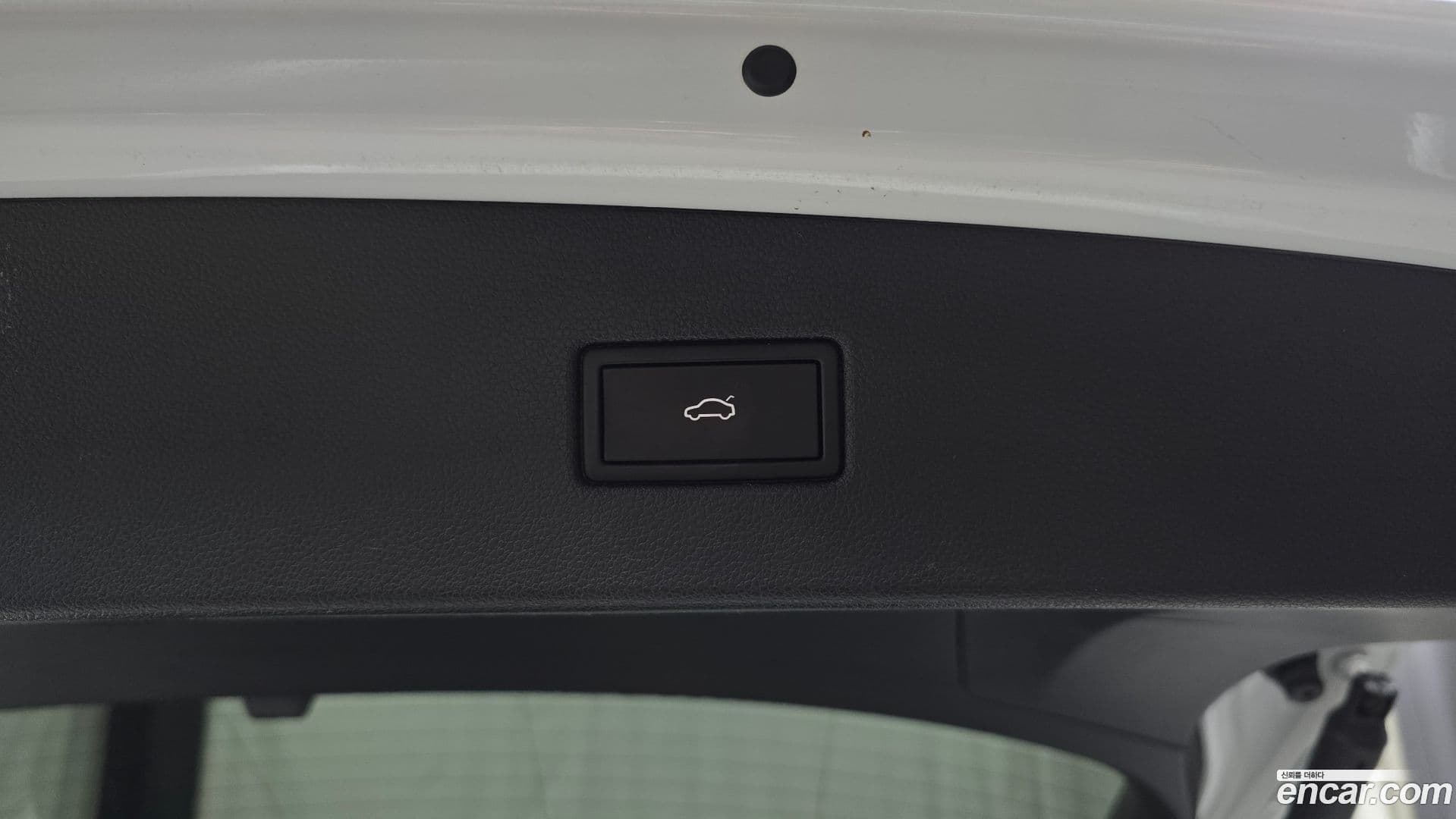 Main__Slider__Photo:Tiguan Volkswagen 2022.5-19