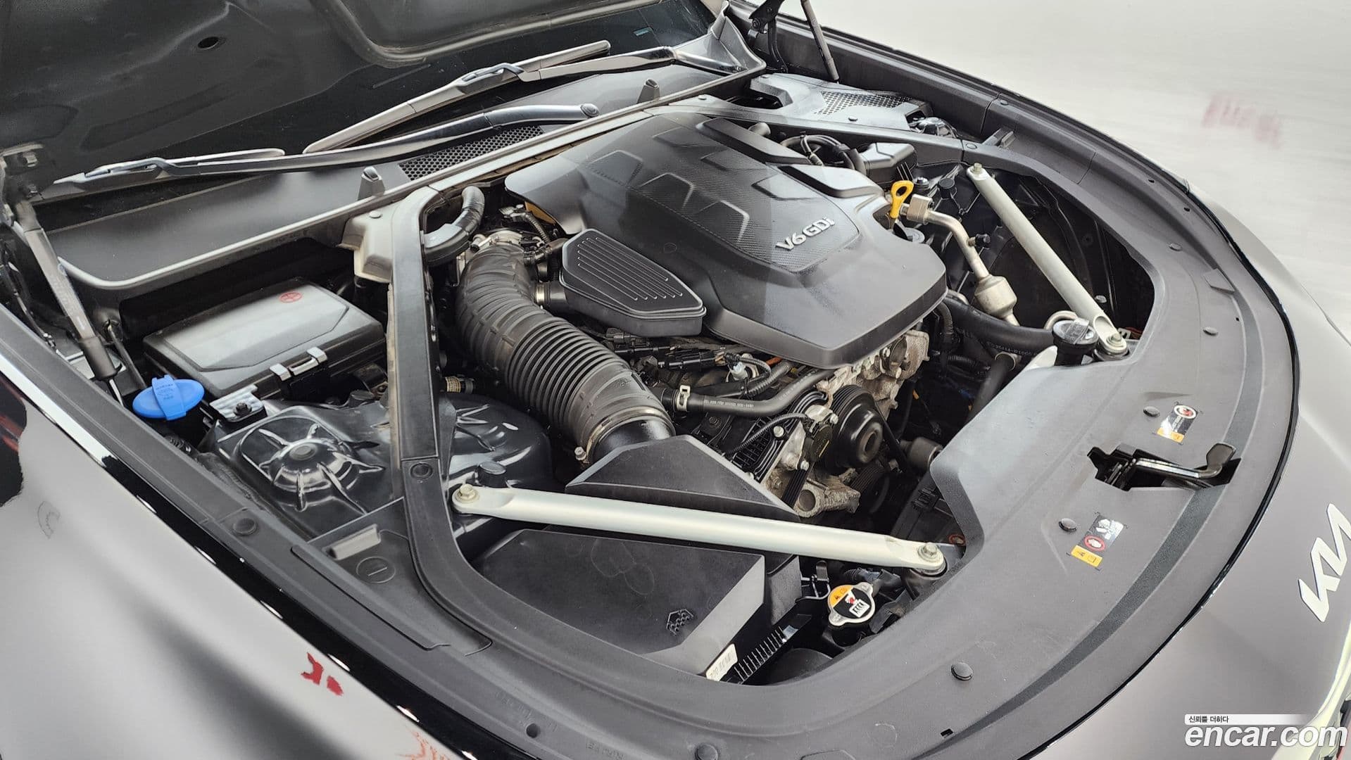 Main__Slider__Photo:K9 Kia 2023.11-5