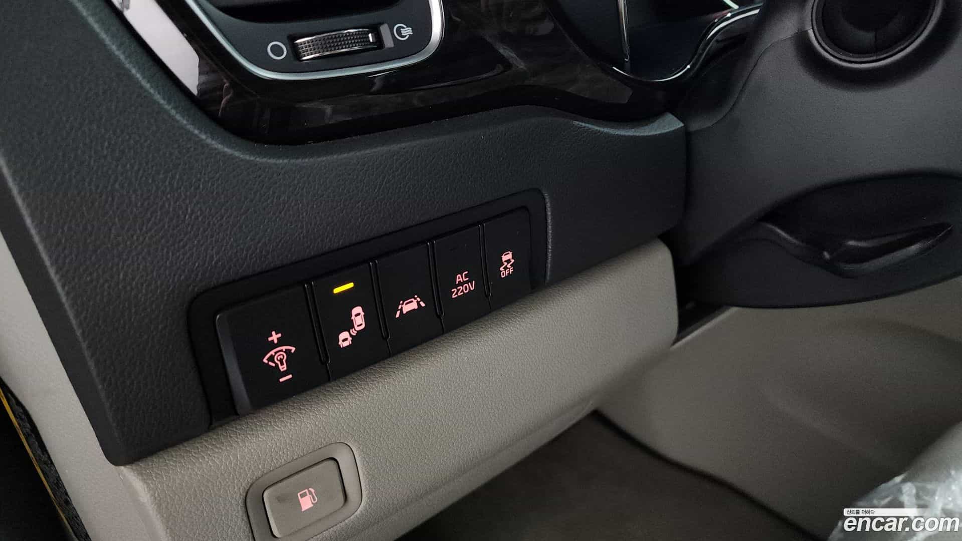 Canival Kia 2019.10-OPTION-020