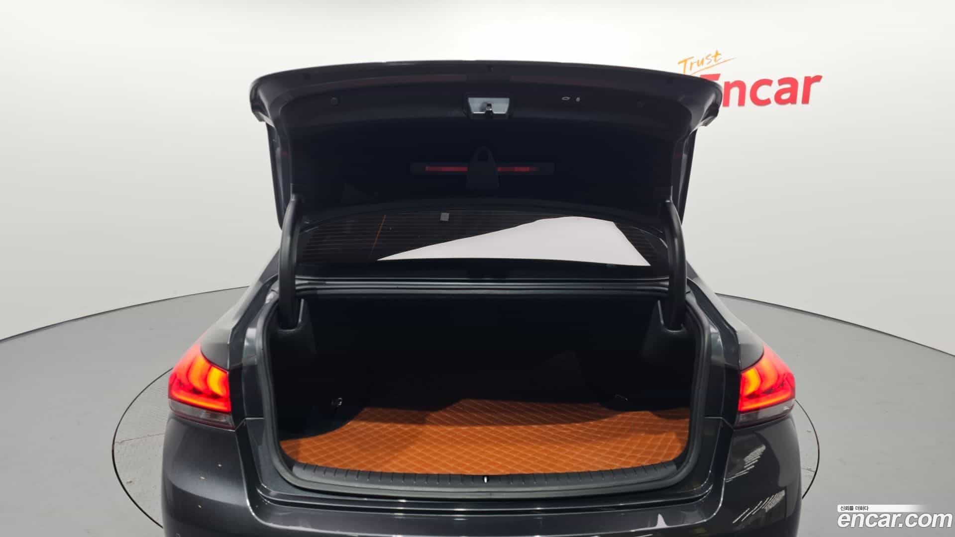 G80 Genesis 2017.3-OPTION-024