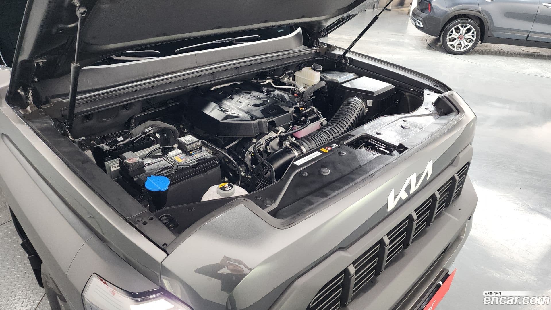 Main__Slider__Photo:Tasman Kia 2025.6-5