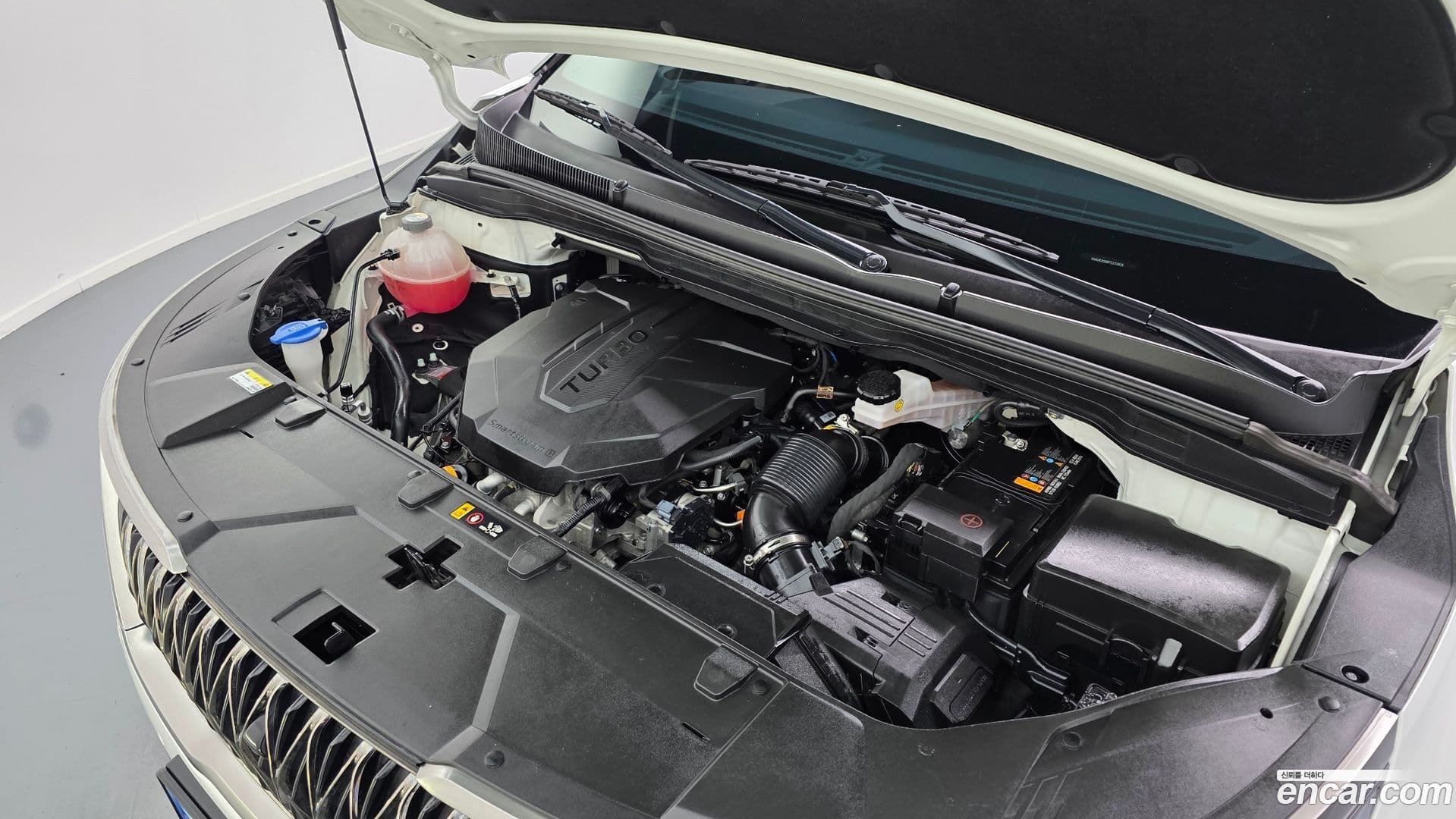 Main__Slider__Photo:Canival Kia 2022.10-5