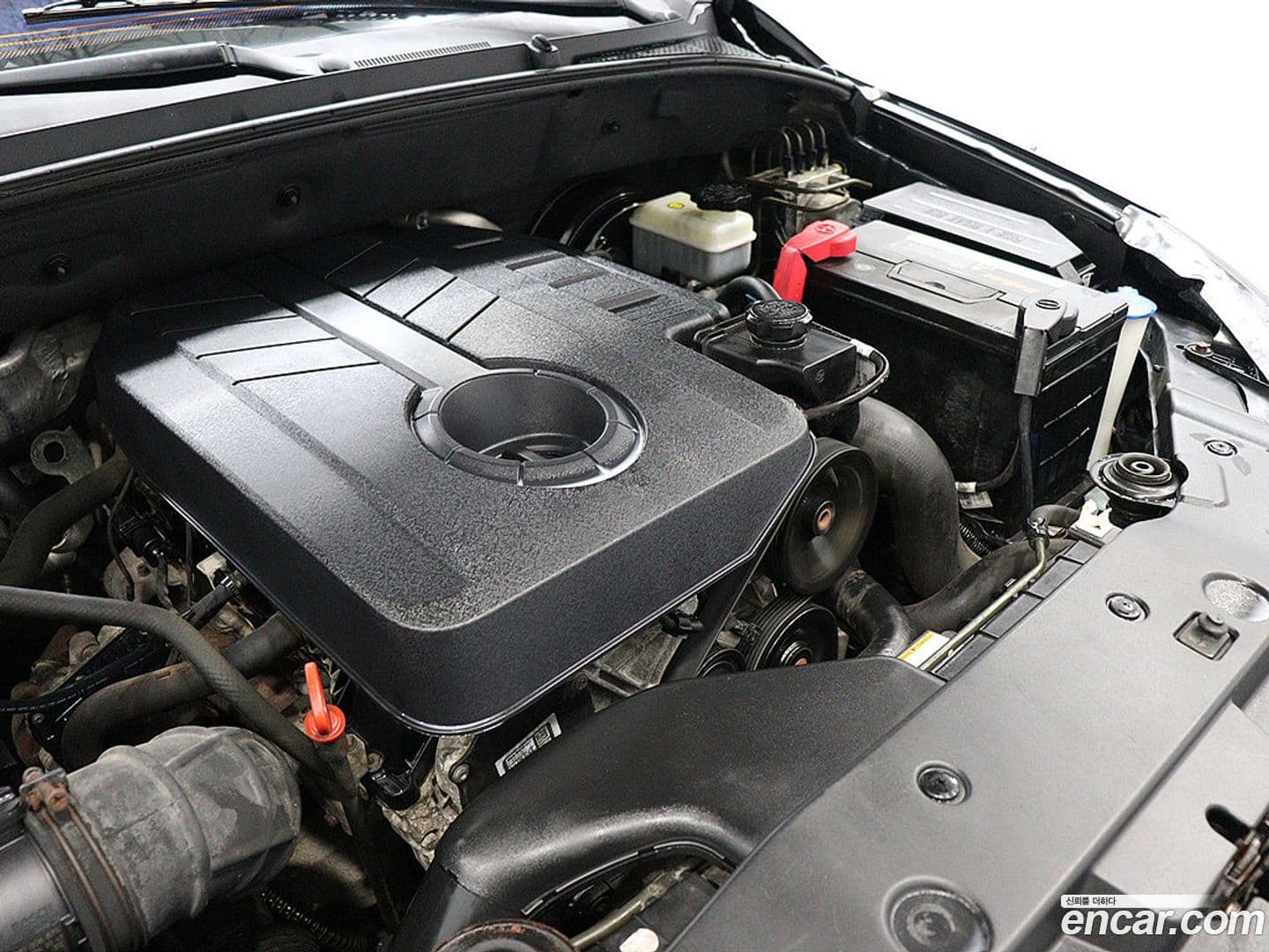 Main__Slider__Photo:KORANDO KG_Mobility_Ssangyong 2017.8-4