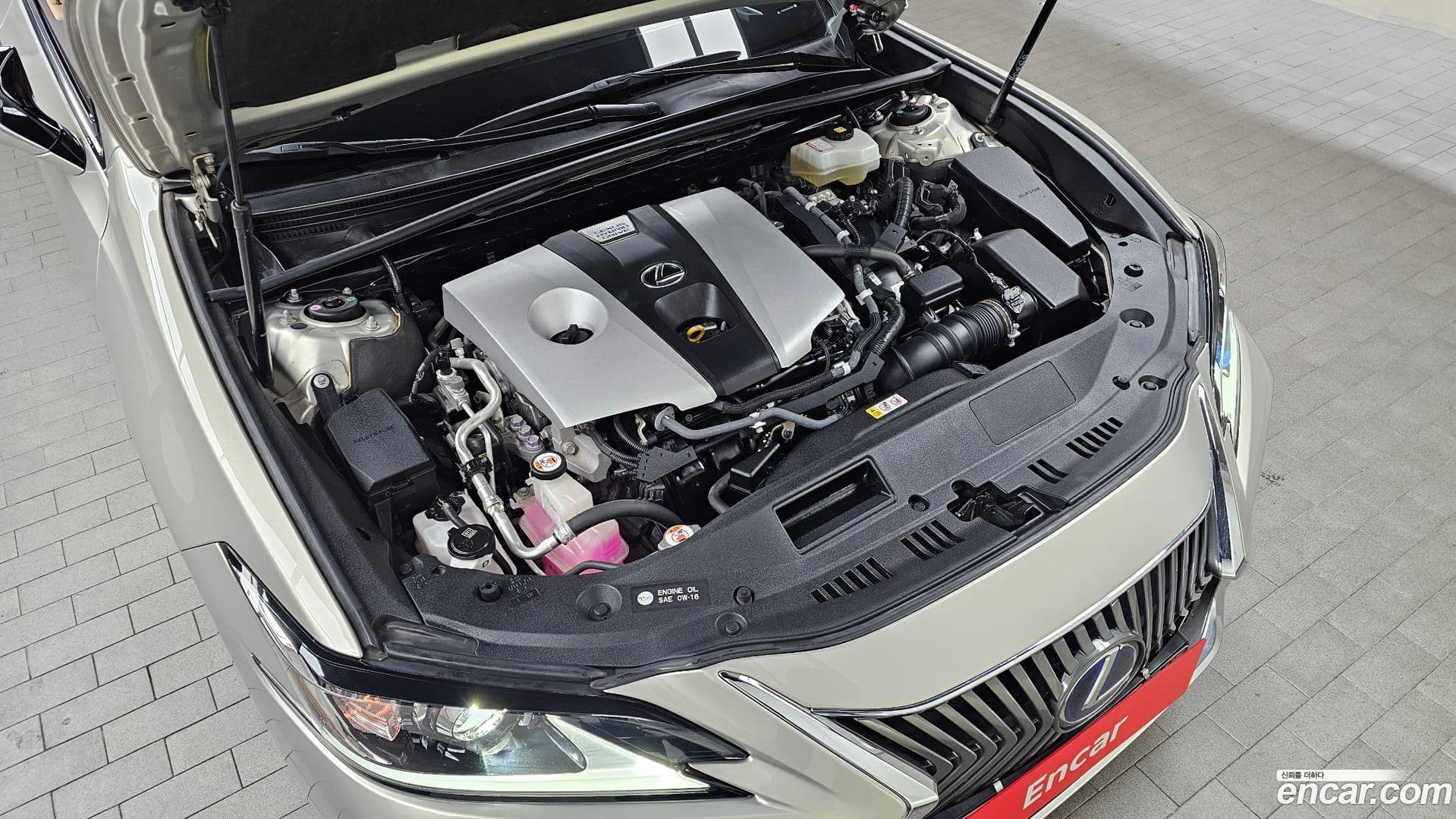 Main__Slider__Photo:ES Lexus 2020.0-5