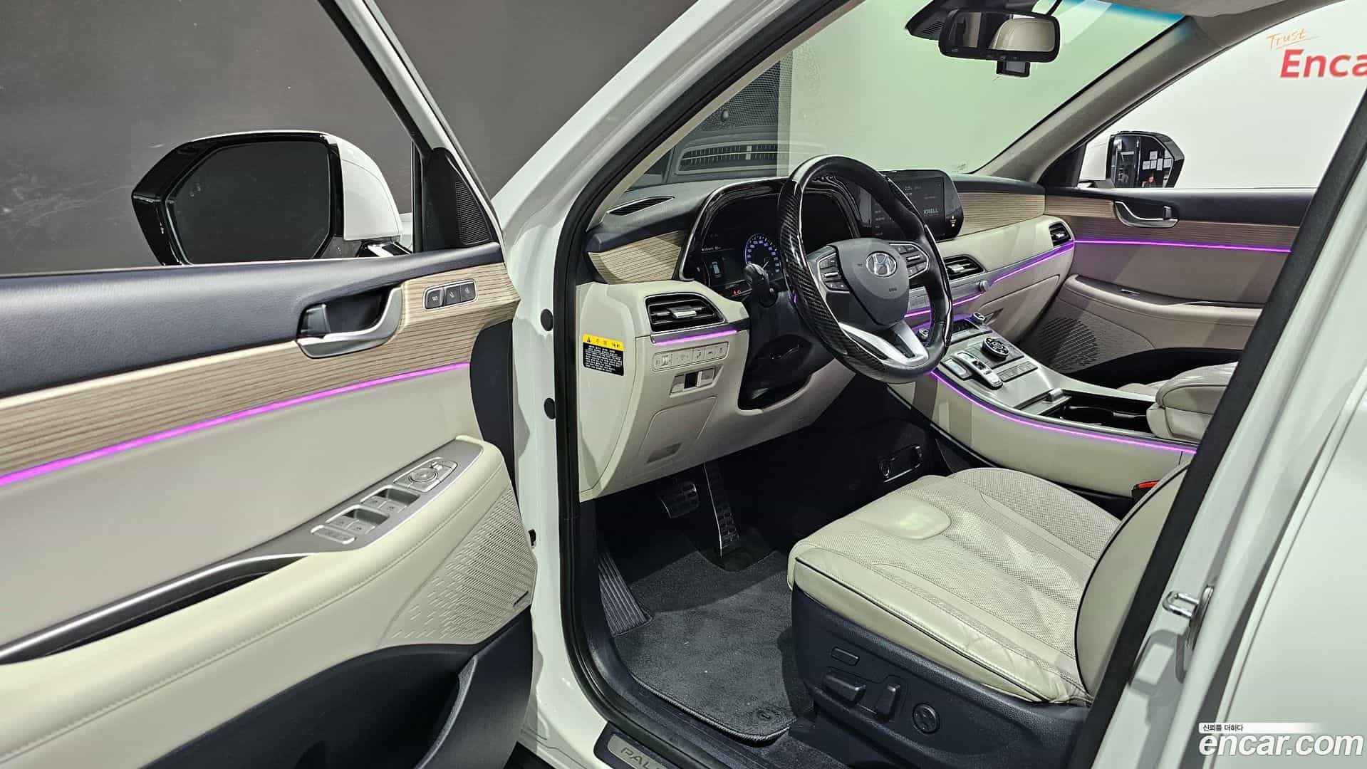 Palisade Hyundai 2019.3-OPTION-015