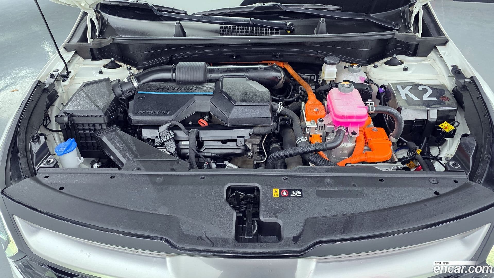 Main__Slider__Photo:Sportage Kia 2023.2-5