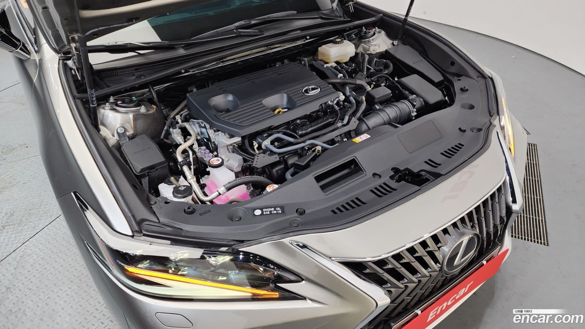 Main__Slider__Photo:ES Lexus 2024.3-5