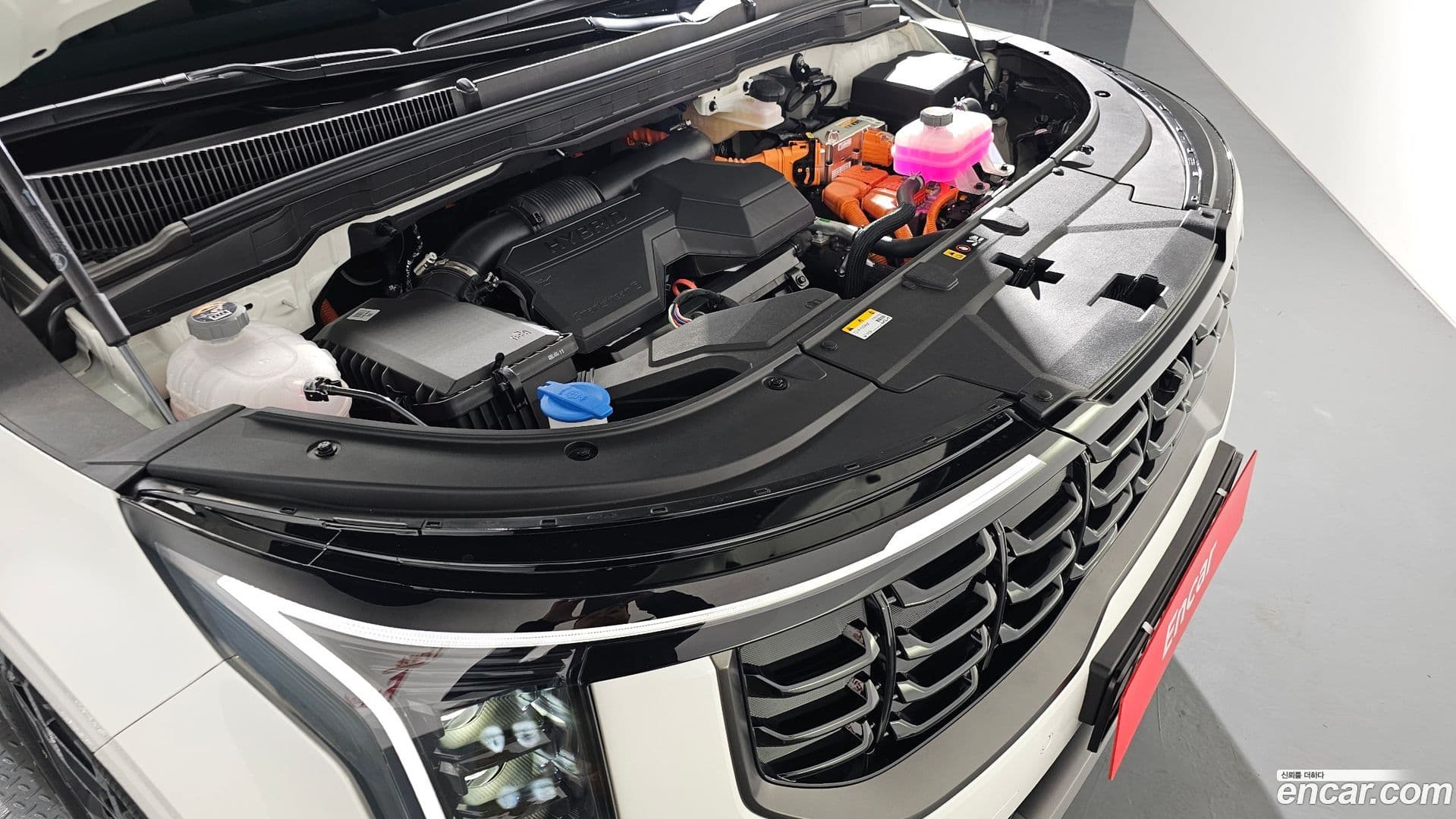 Main__Slider__Photo:Canival Kia 2025.3-5