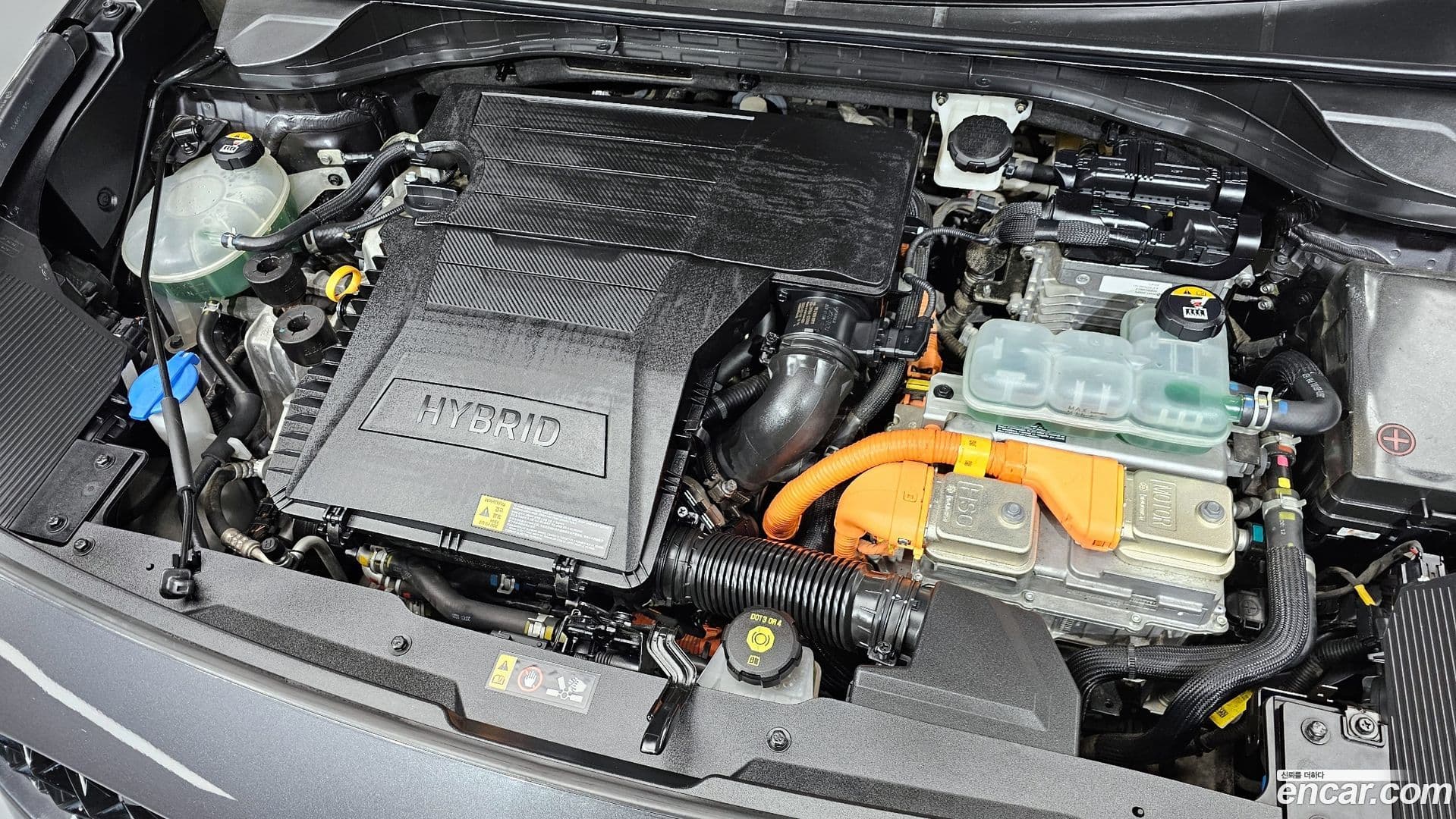 Main__Slider__Photo:Niro Kia 2020.7-5