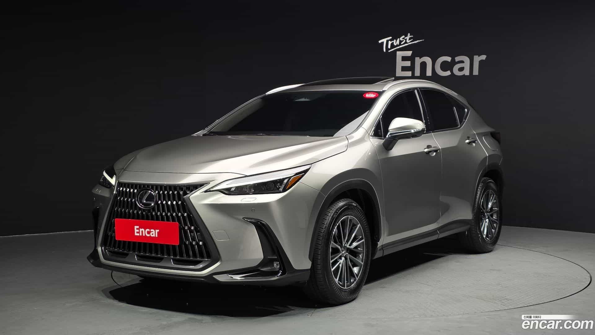 NX Lexus 2024.6-OUTER-001