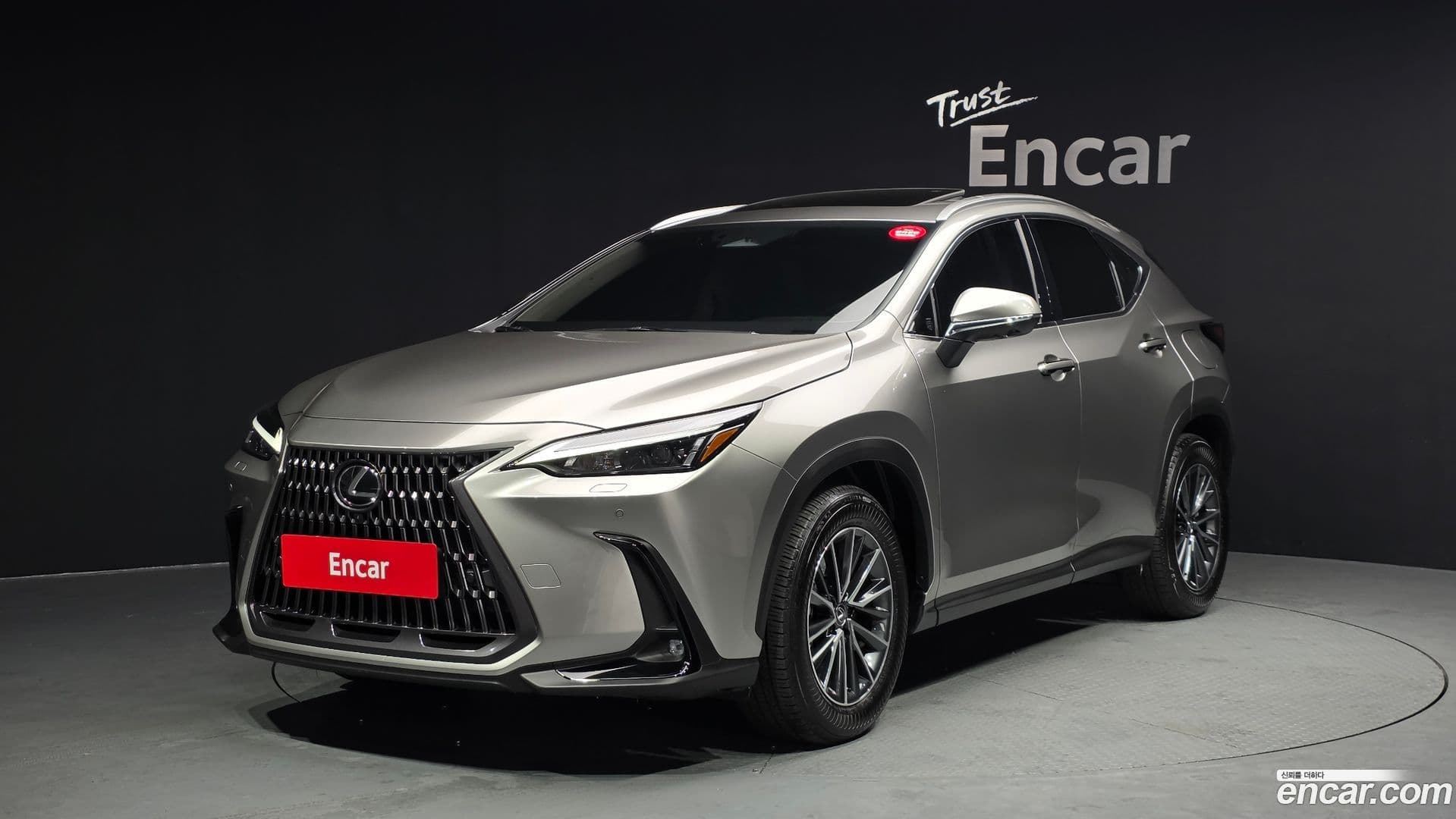 Main__Slider__Photo:NX Lexus 2024.6-0