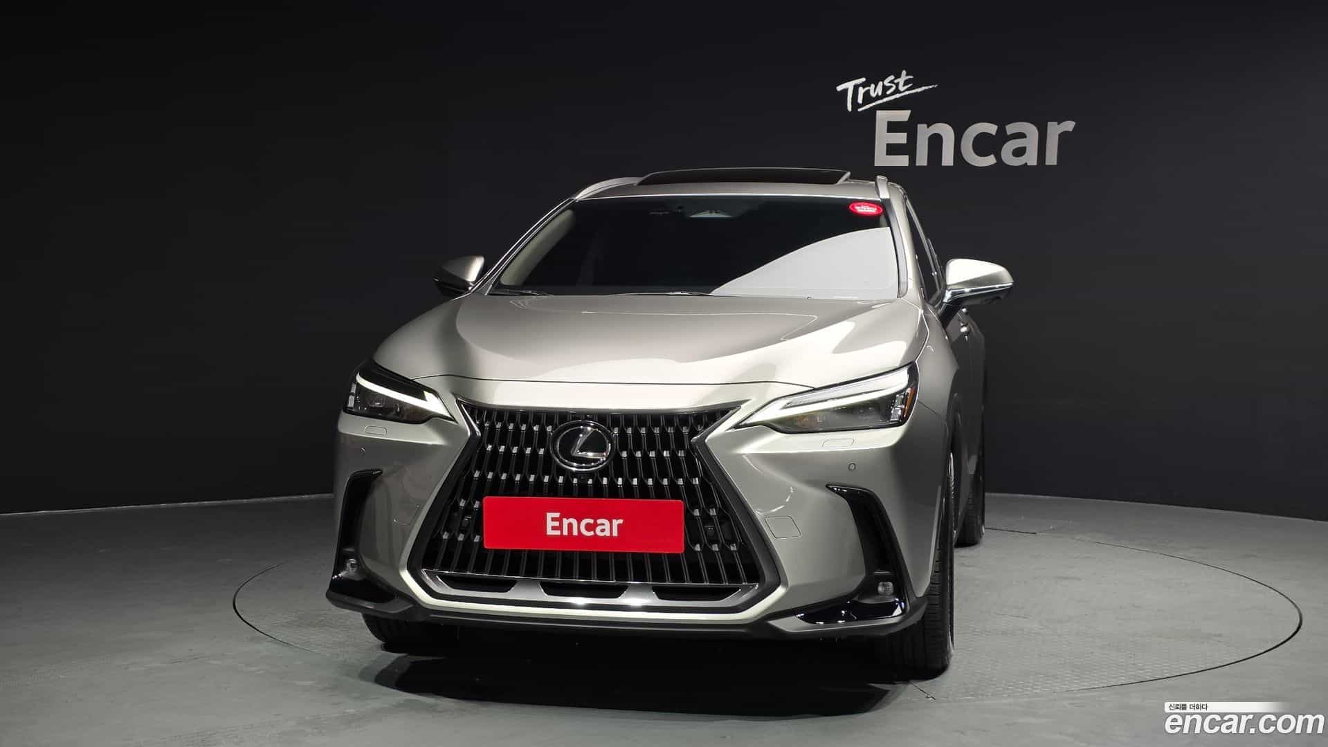 NX Lexus 2024.6-OUTER-003