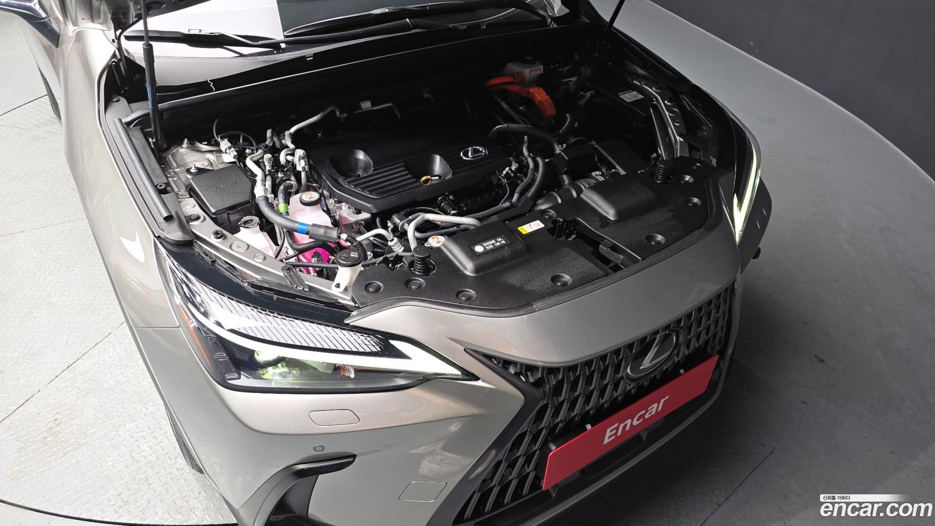 Main__Slider__Photo:NX Lexus 2024.6-5