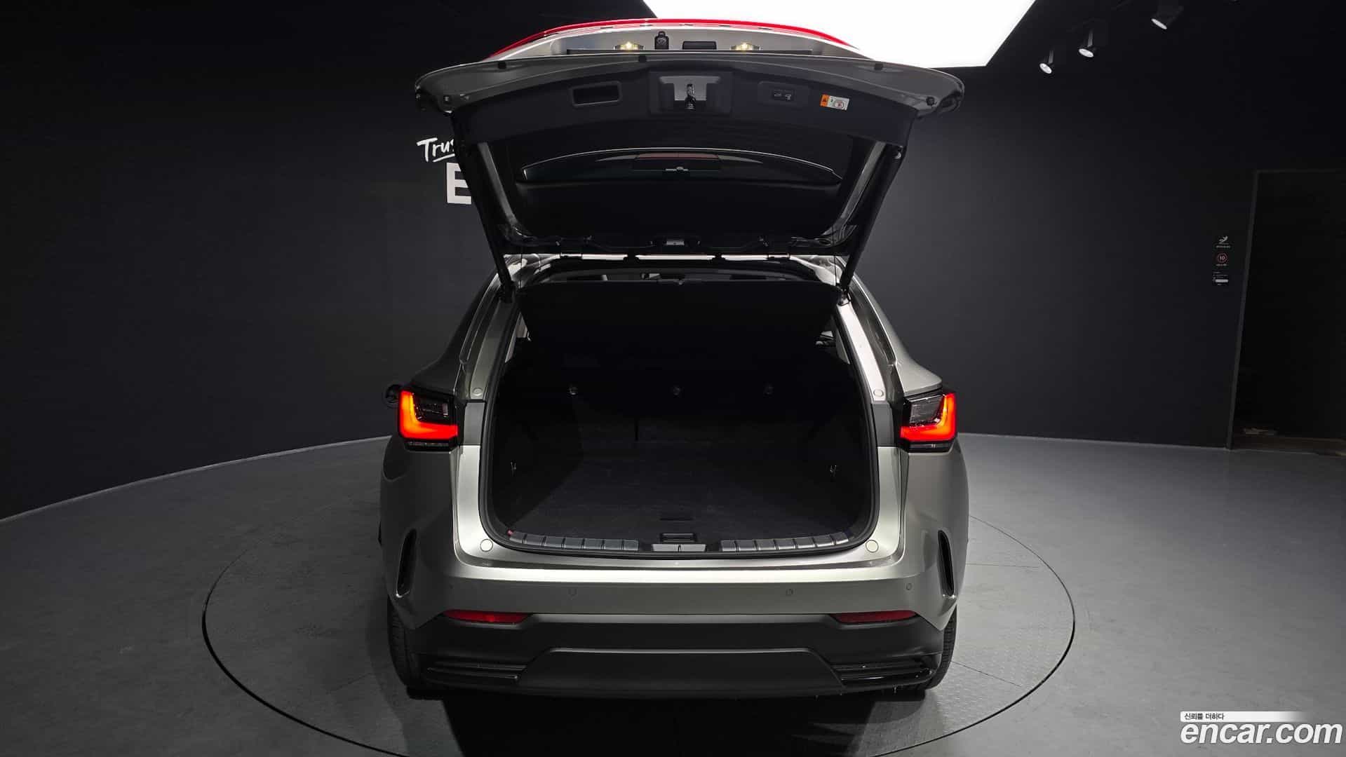 NX Lexus 2024.6-OPTION-024