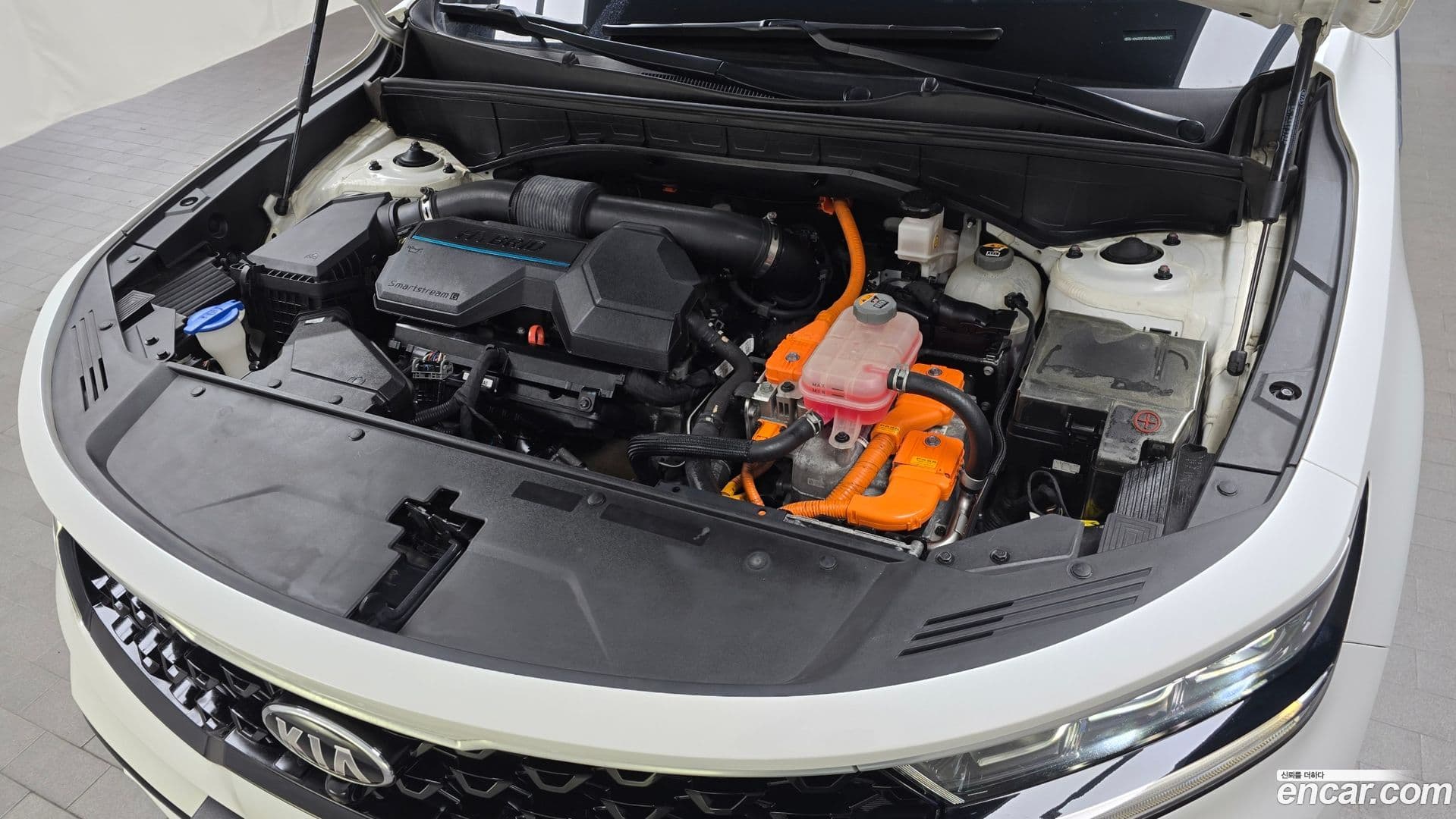 Main__Slider__Photo:Sorento Kia 2020.3-5