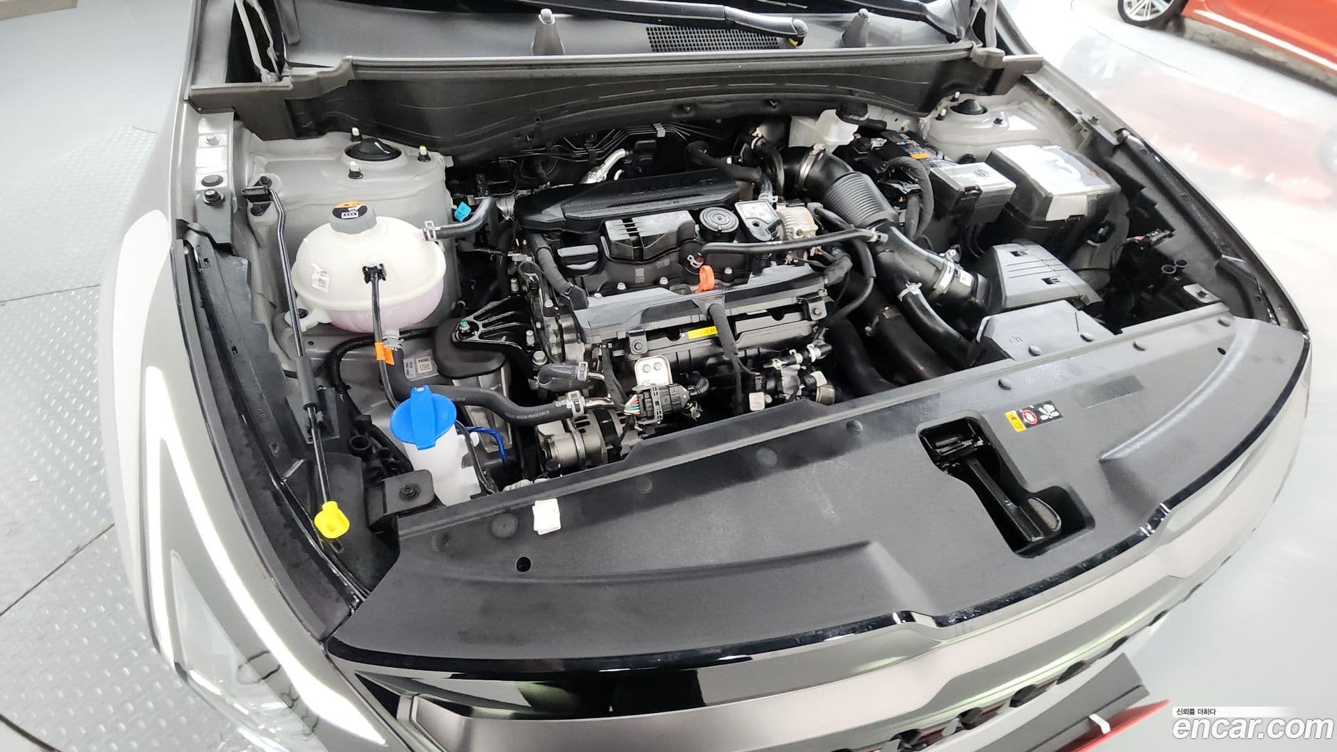 Main__Slider__Photo:Sportage Kia 2025.8-5