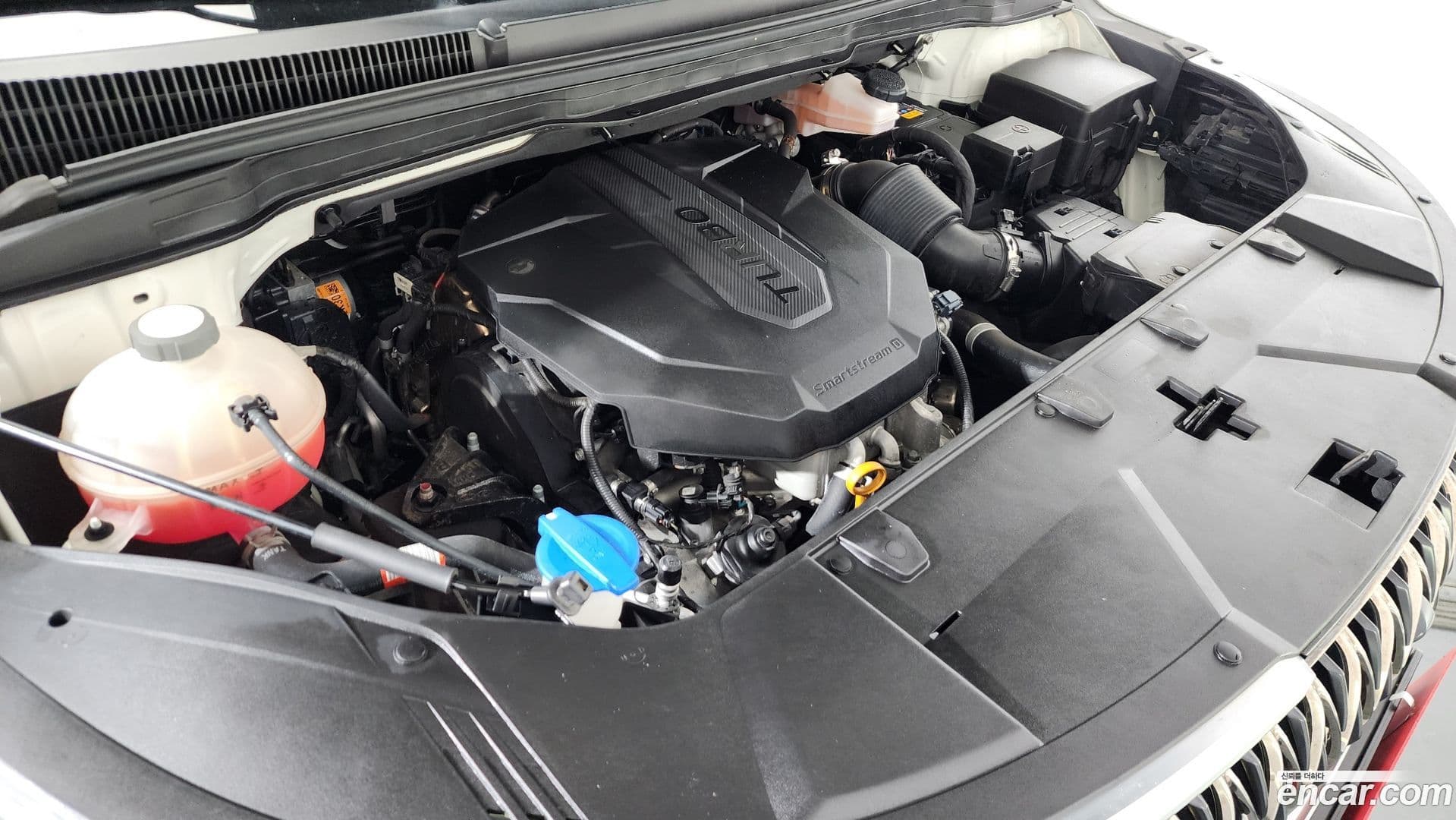 Main__Slider__Photo:Canival Kia 2021.4-5