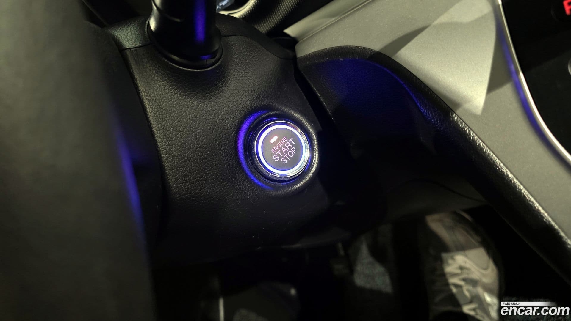 Main__Slider__Photo:RAY Kia 2021.9-17