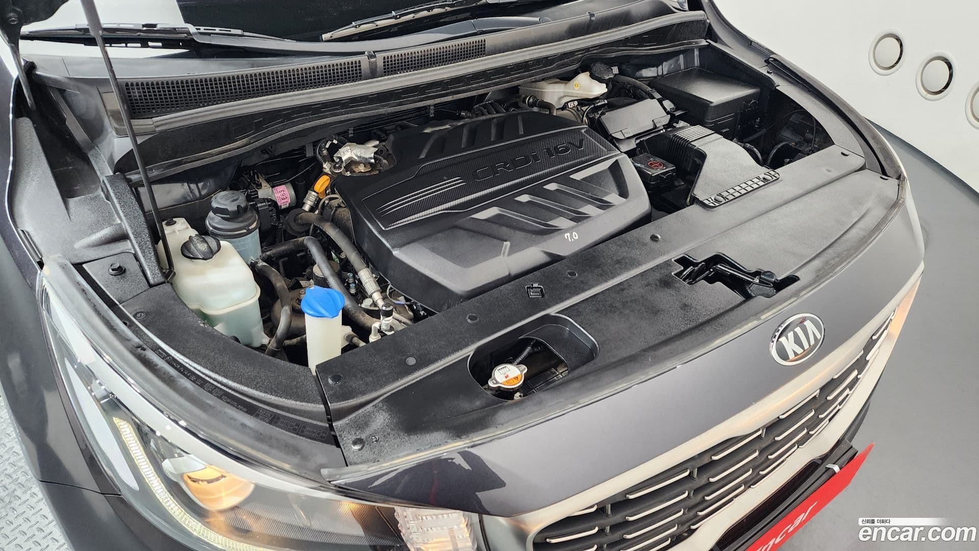 Main__Slider__Photo:Canival Kia 2018.9-5