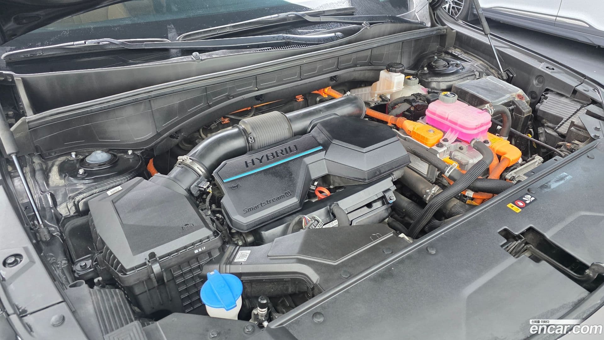 Main__Slider__Photo:Sorento Kia 2022.6-5